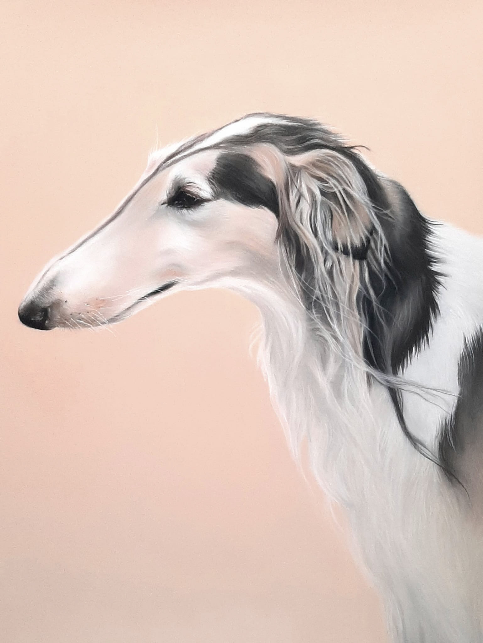 40 x 50 cm
