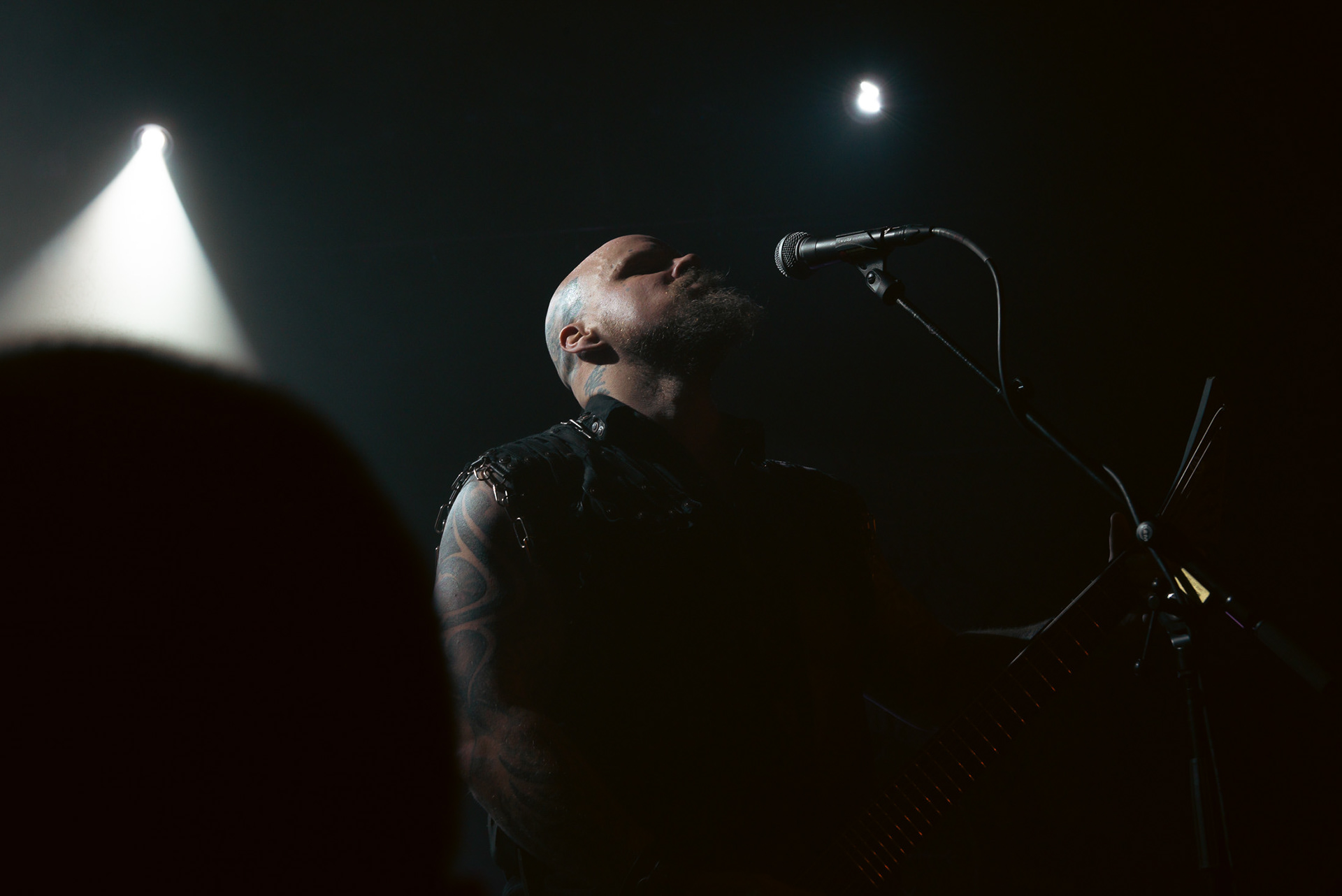 Wolfheart