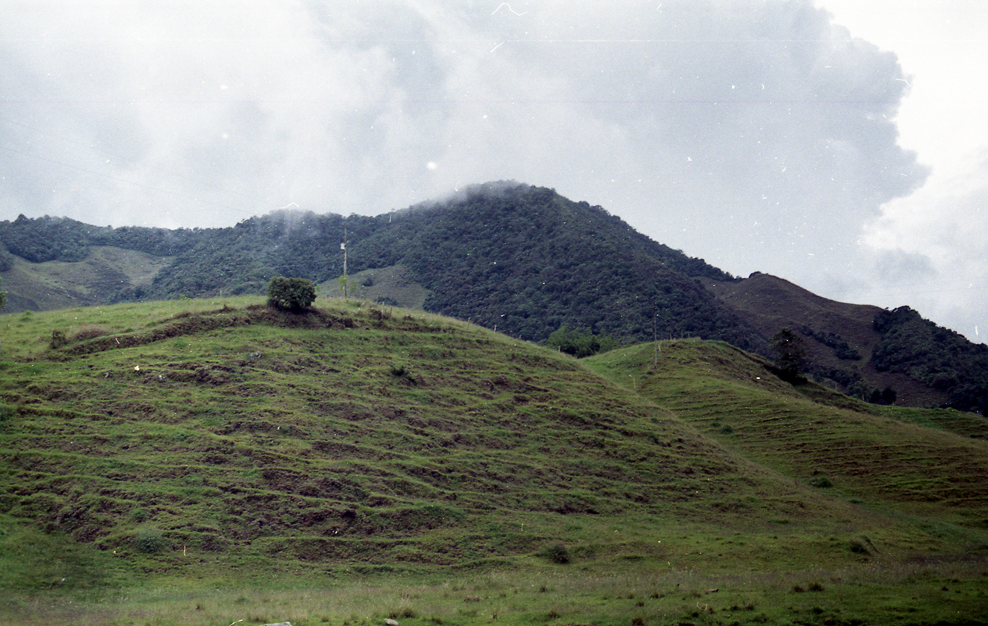 La Ceja