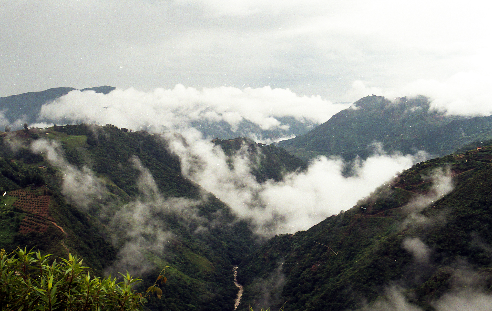La Ceja