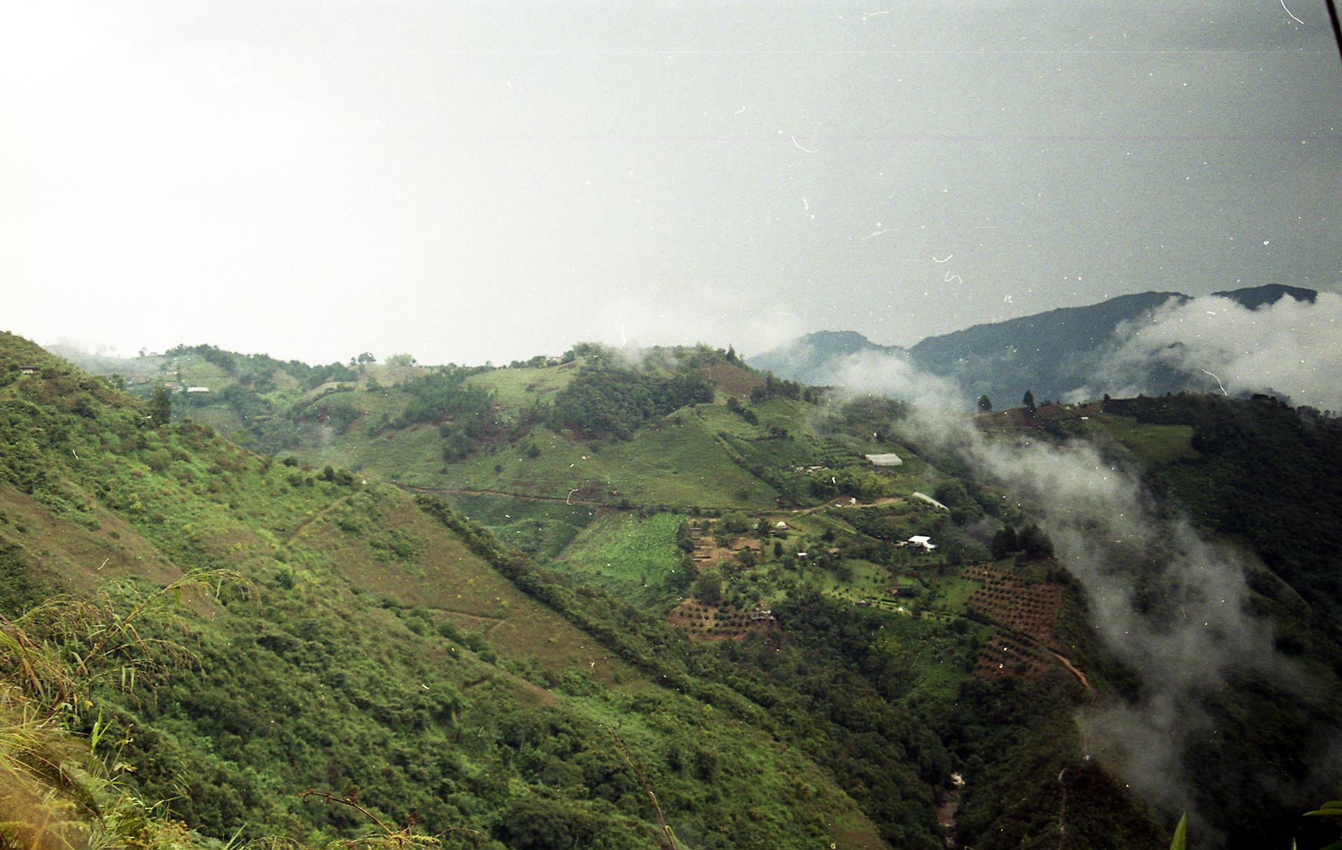 La Ceja