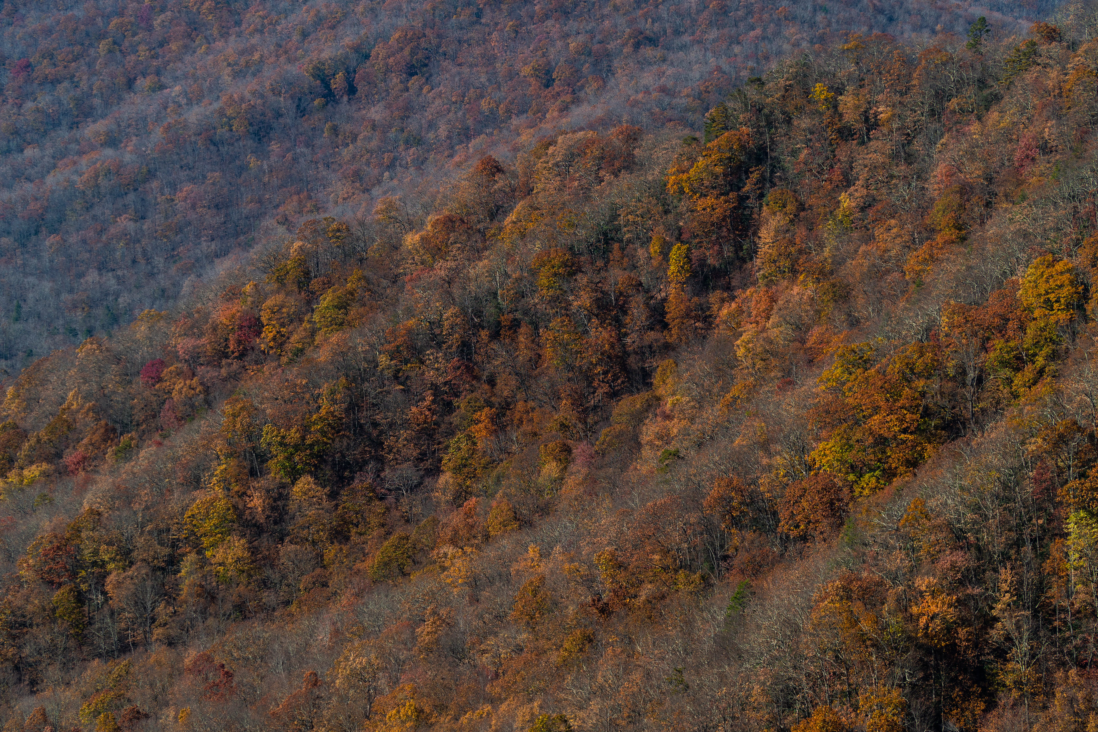 Reds fading away to Winter