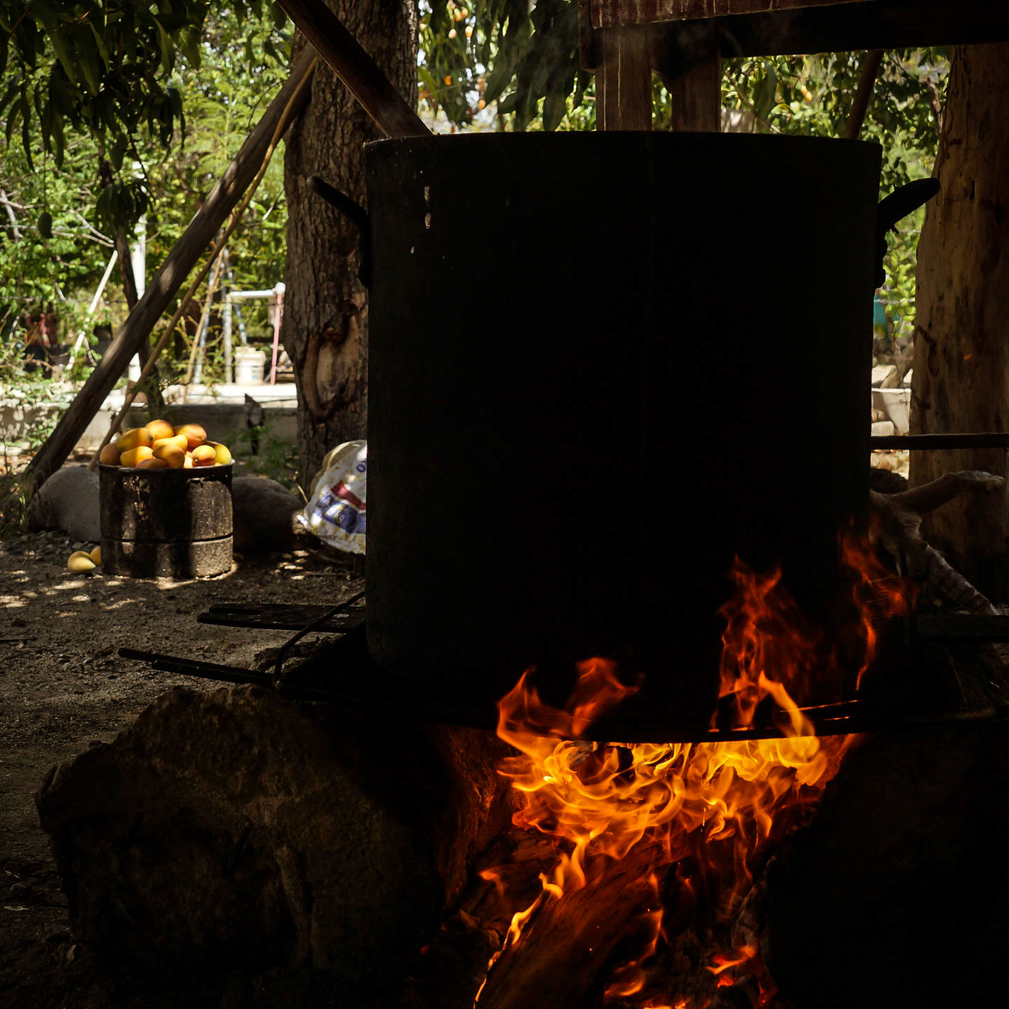 #tradicionessudcalifornianas, #loscabos