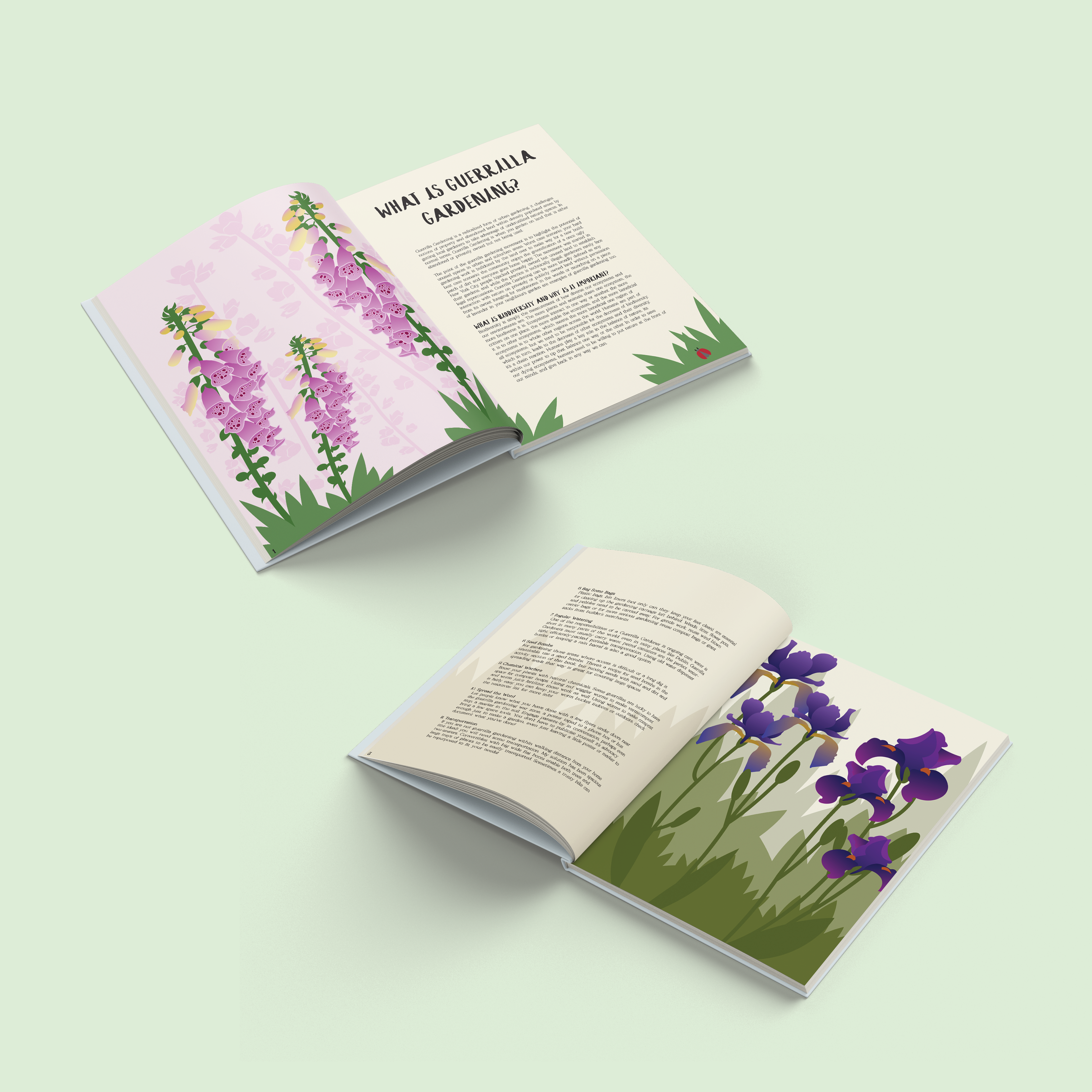 Illustrated Pages