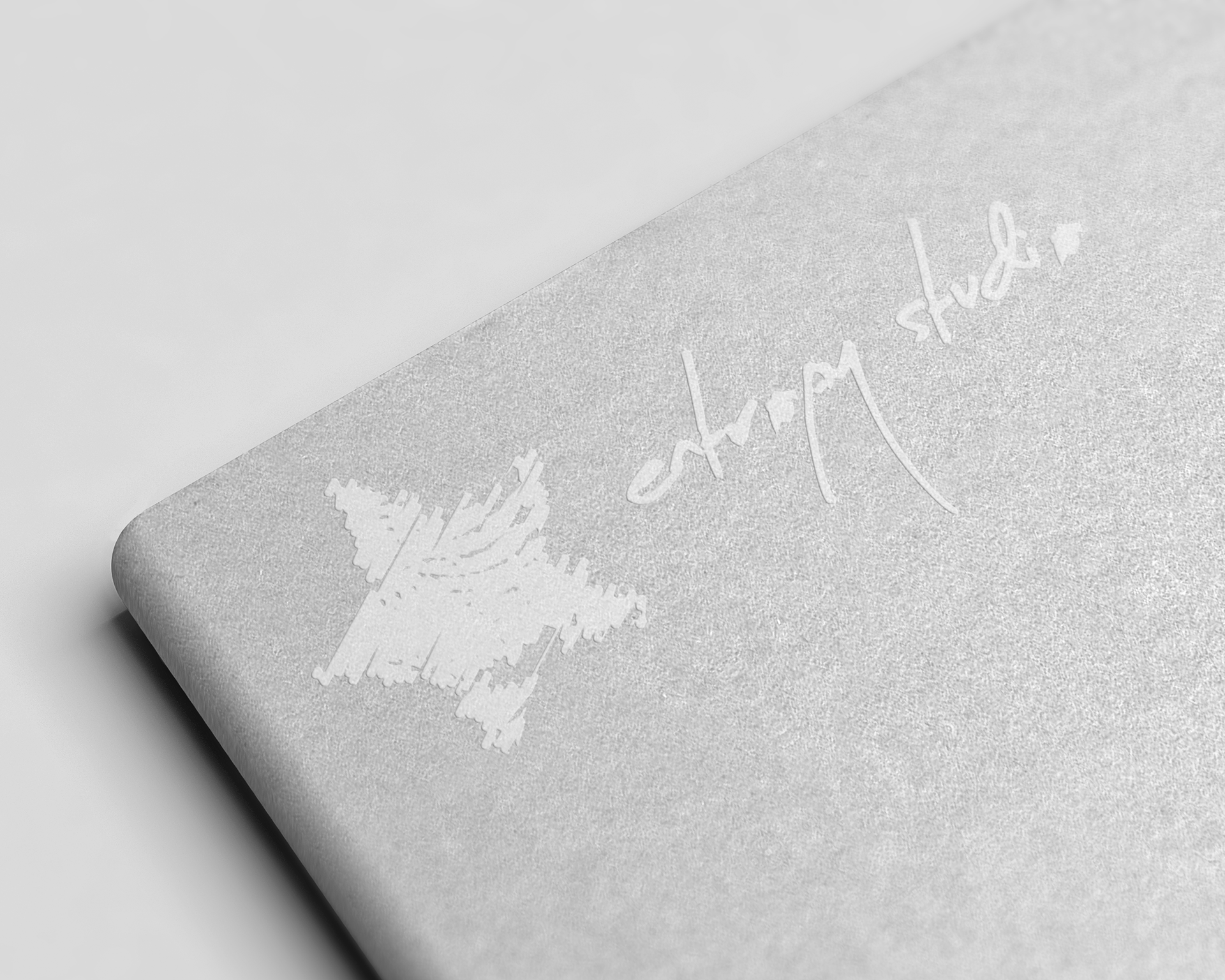 visual identification for entropy studio