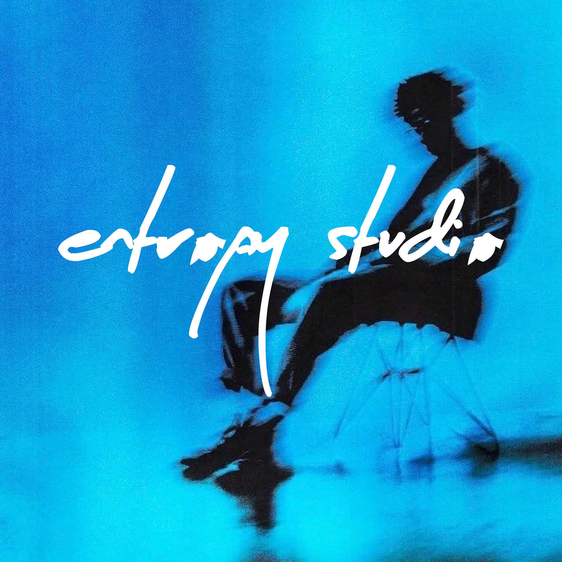 visual identification for entropy studio