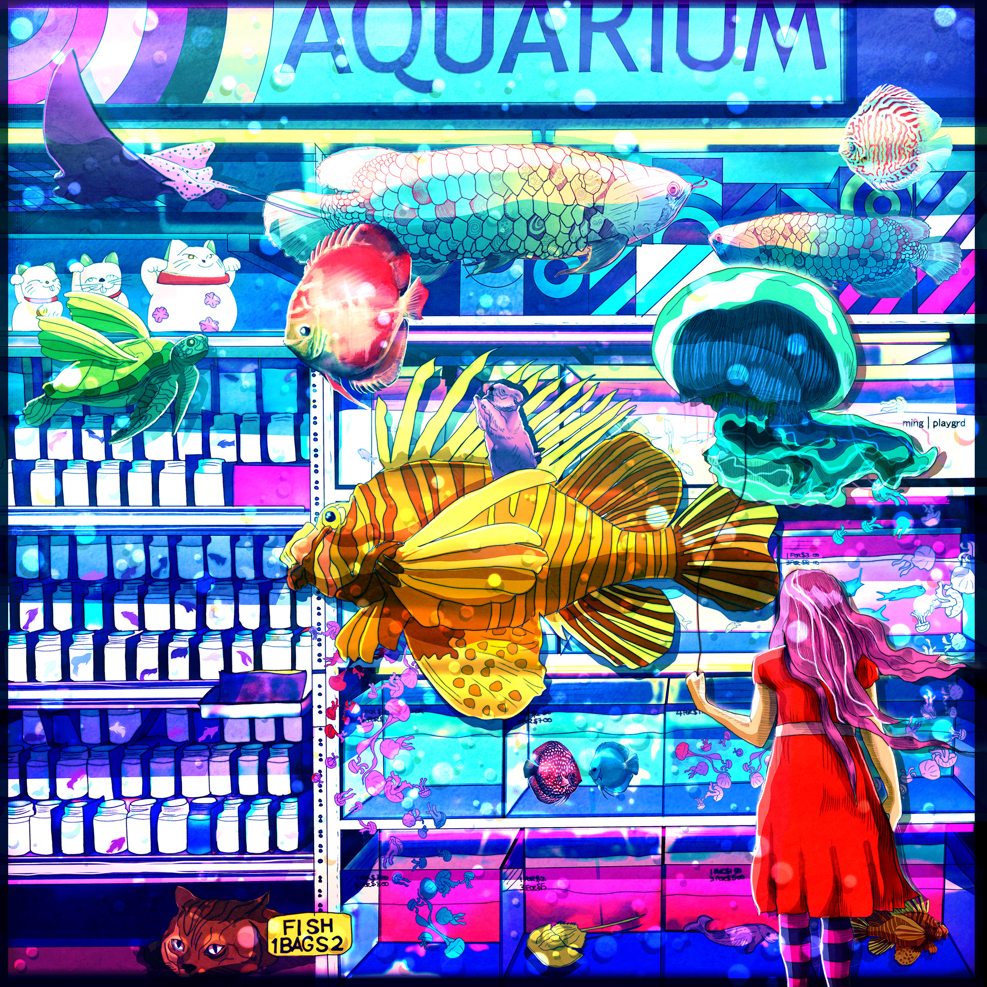 #3 - The Forgotten Aquarium