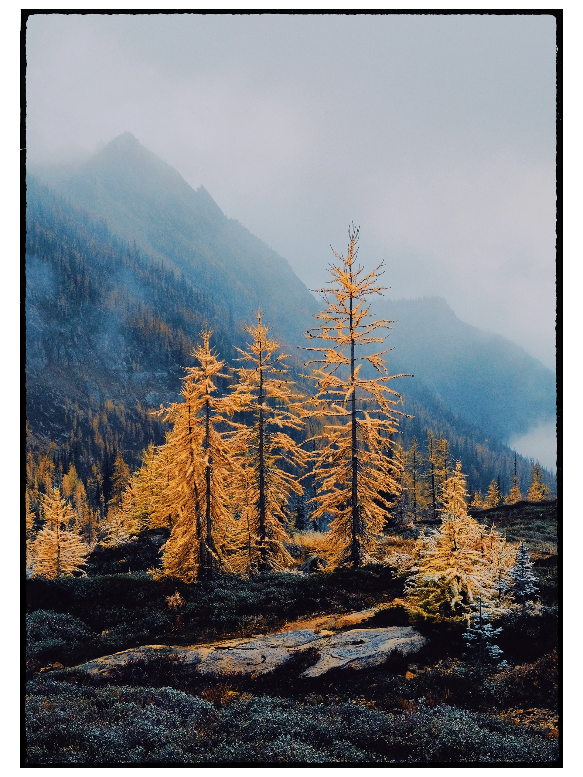 Larch madness with Erin, October 2025. Cutthroat Pass after a nice nap.