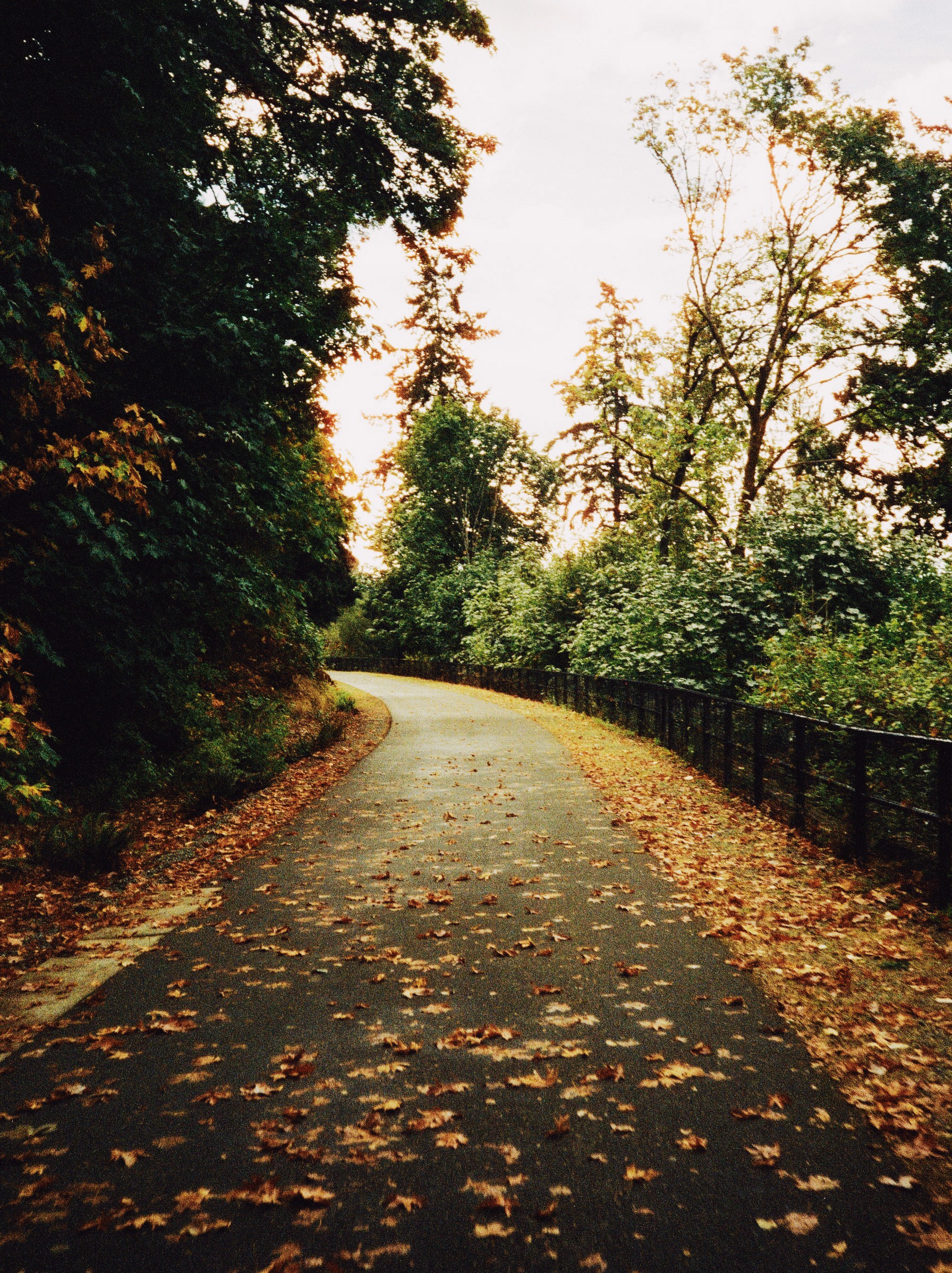 Lake Washington Loop, October 2025.