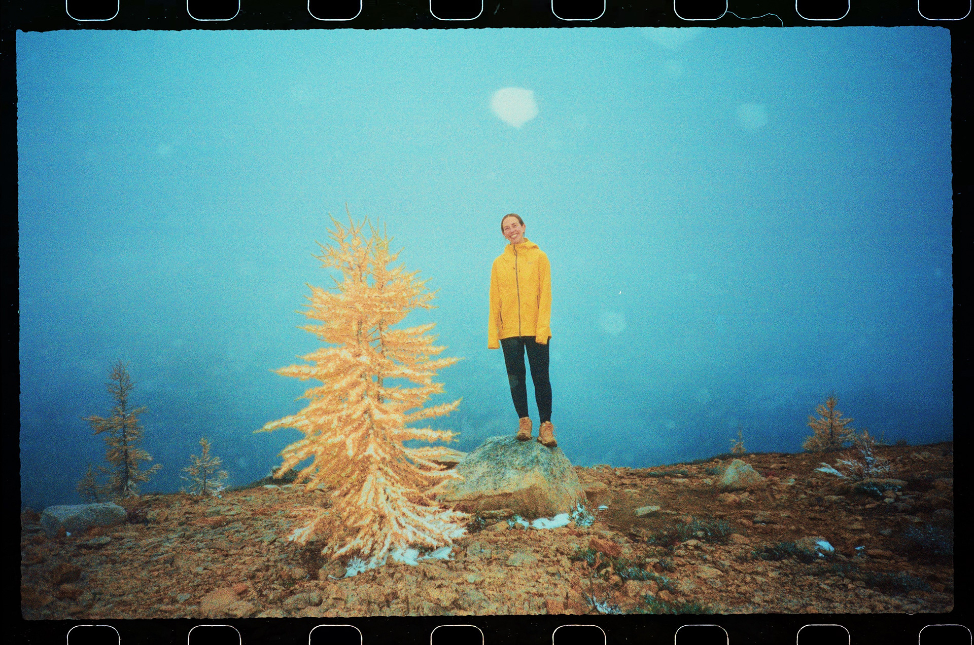 Erin and her tree, October 2025. Top of Cutthroat Pass.
