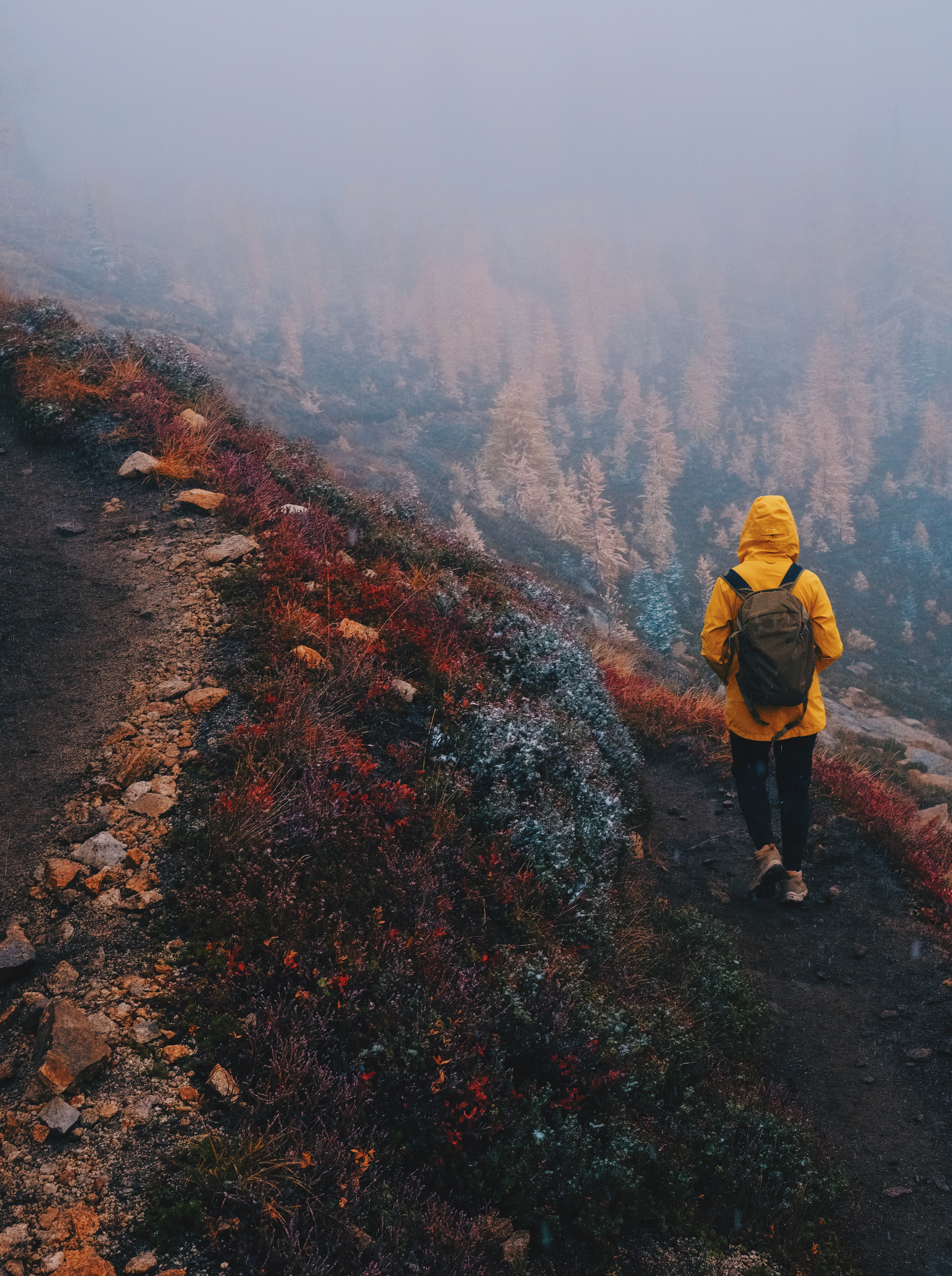 Snowfall and fog with Erin, October 2025.