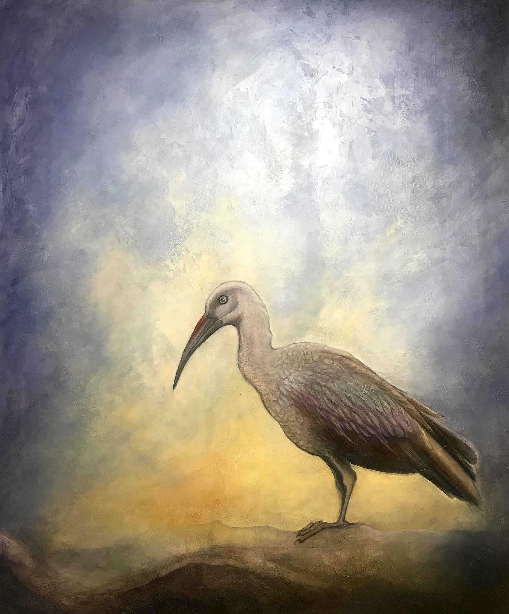 🔴 In Honour of the Hadeda