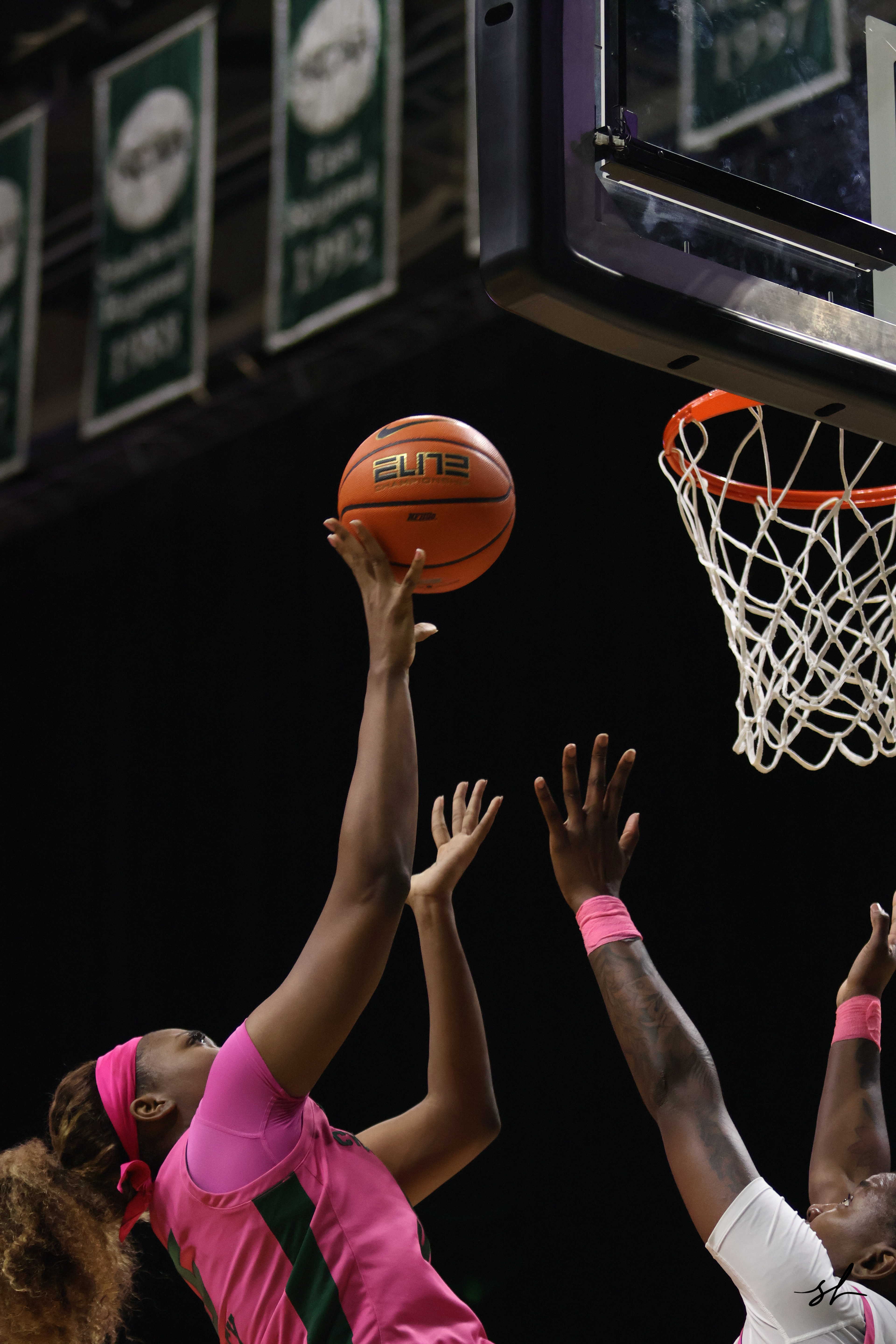 UNC Charlotte vs UNT (Mean Green)