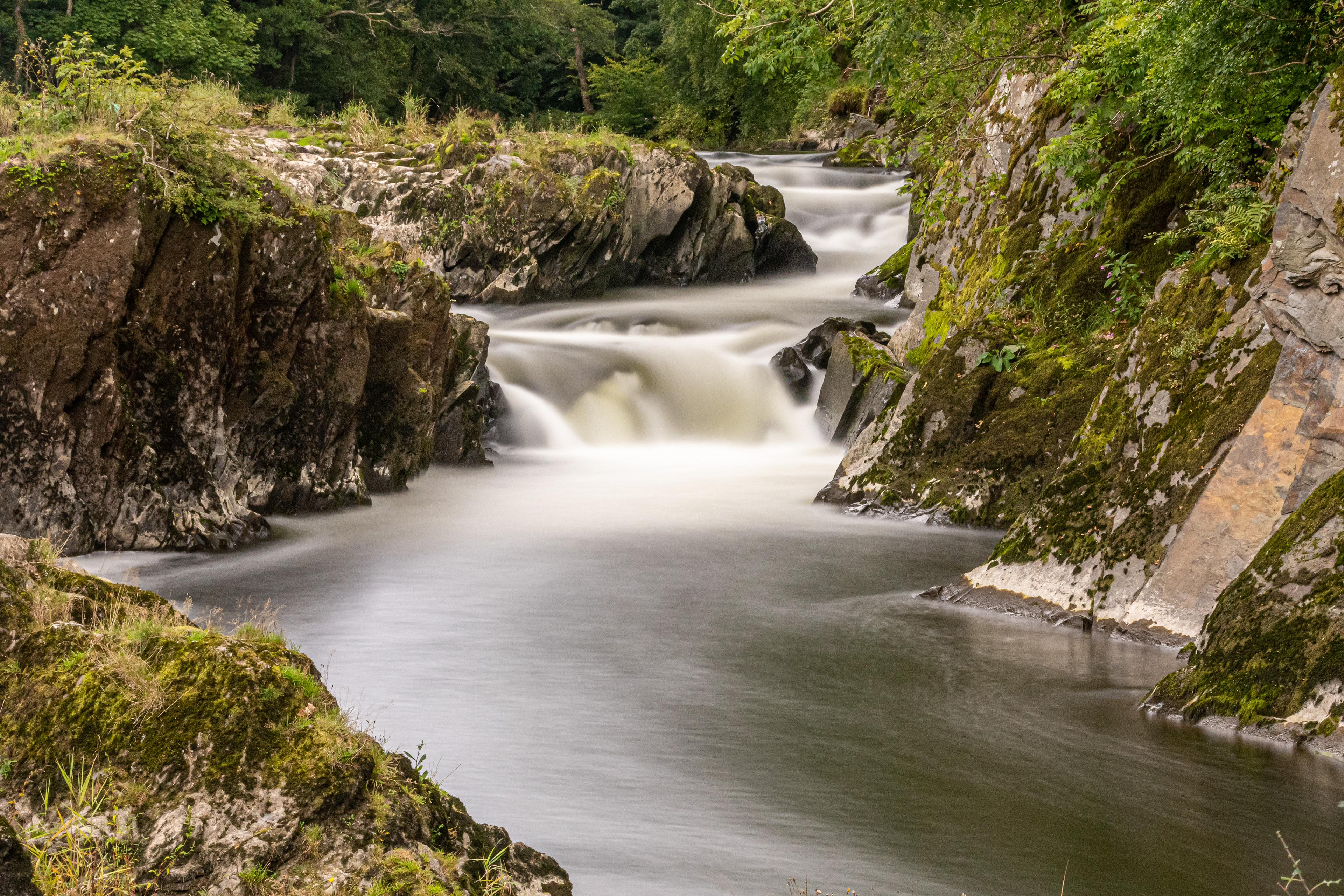 Cenarth Falls Milky