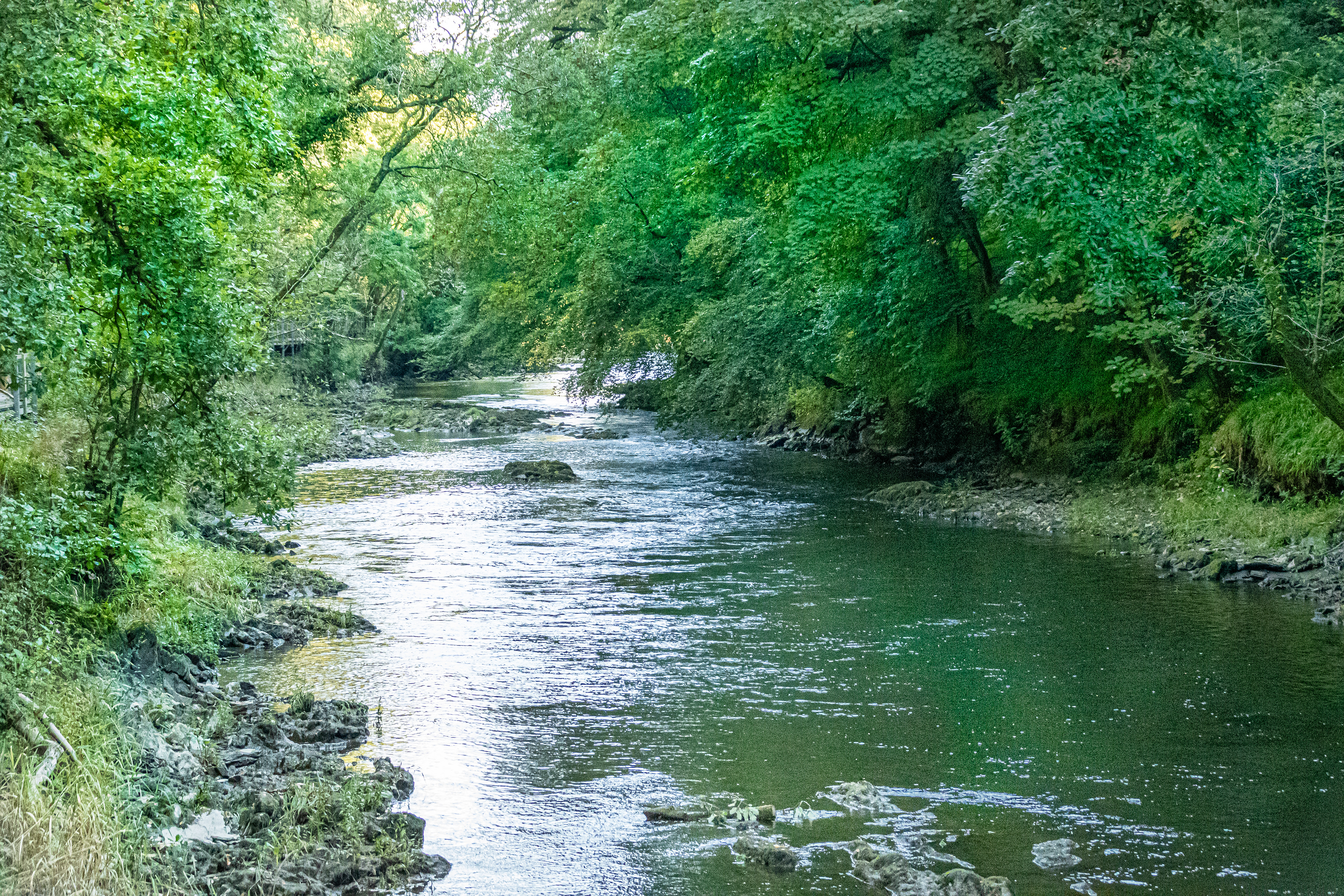 River Teifi