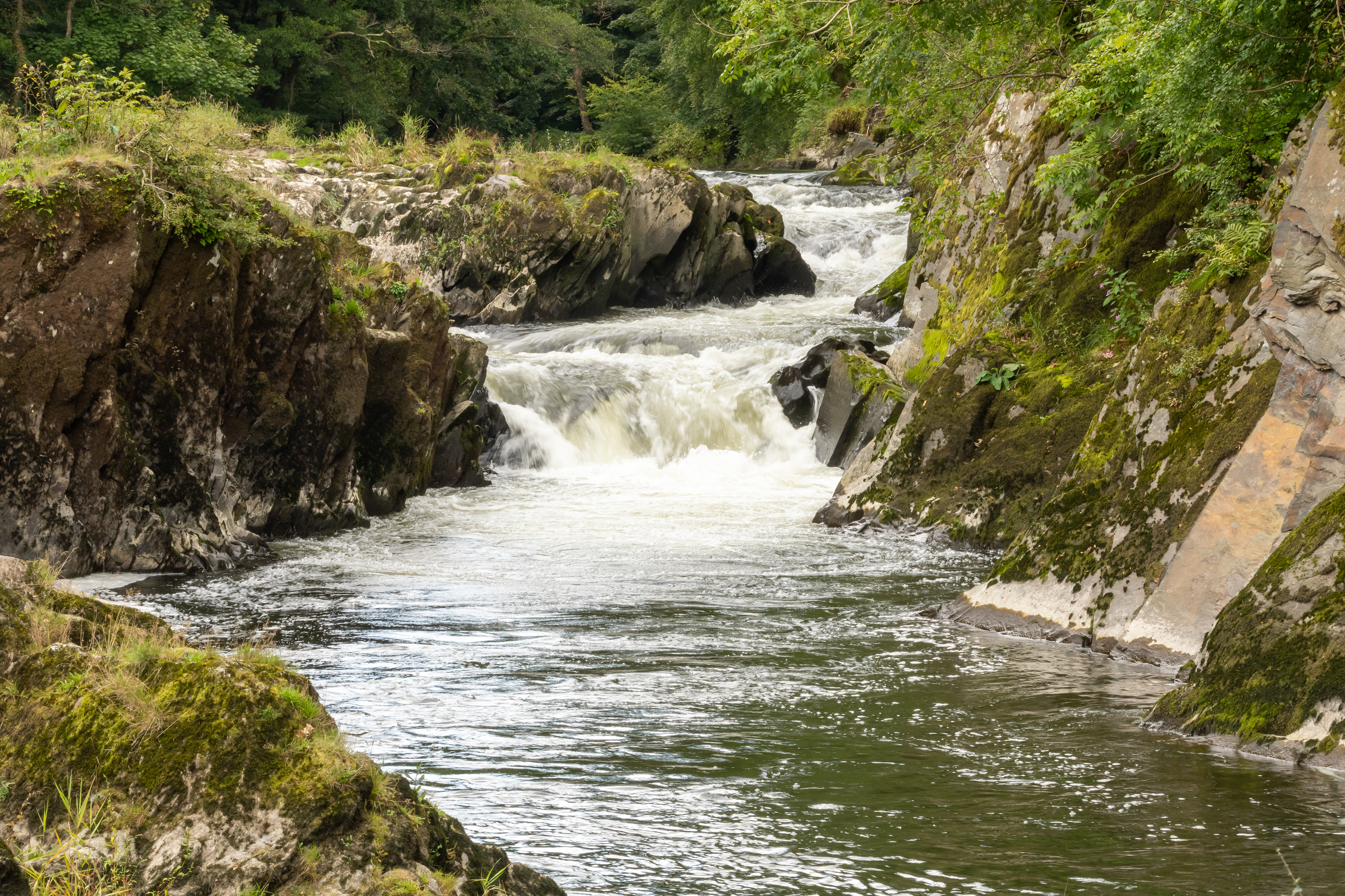 Cenarth Falls
