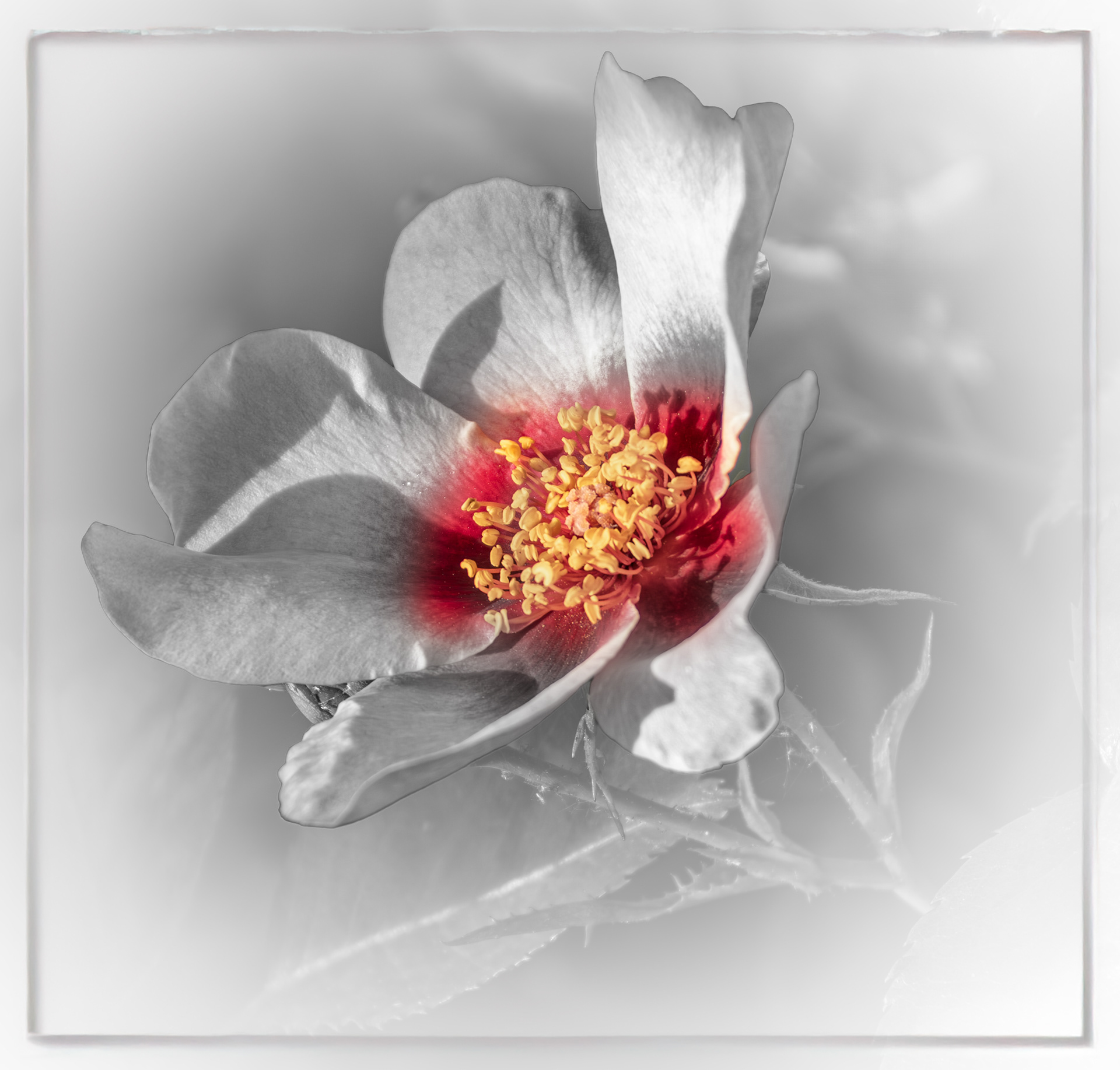 For Your Eyes Only - High key