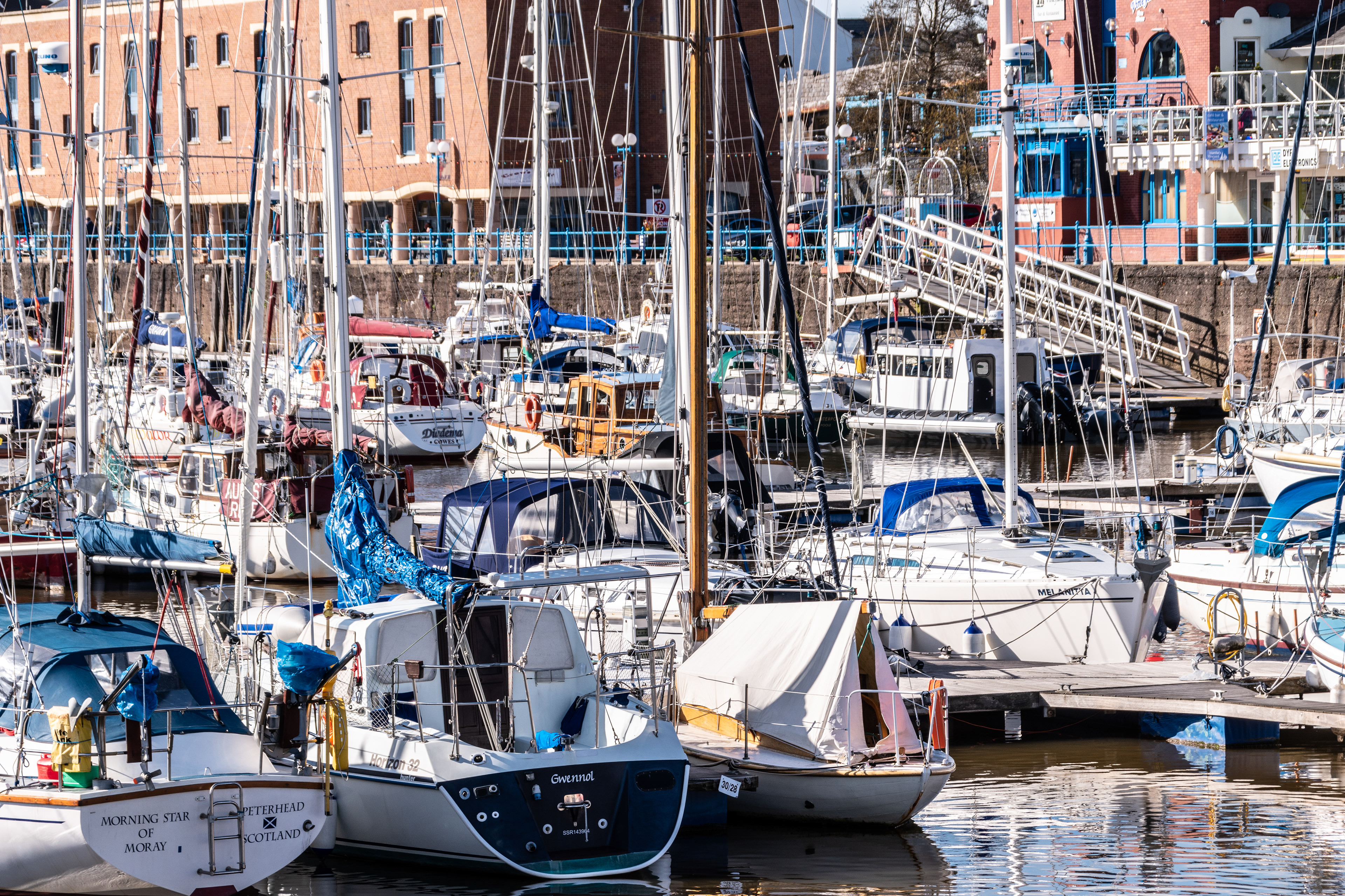 Milford Marina