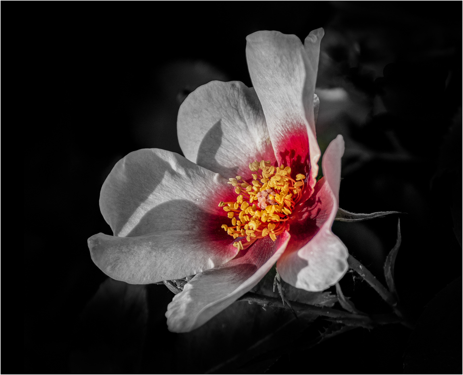 For Your Eyes Only - Low key