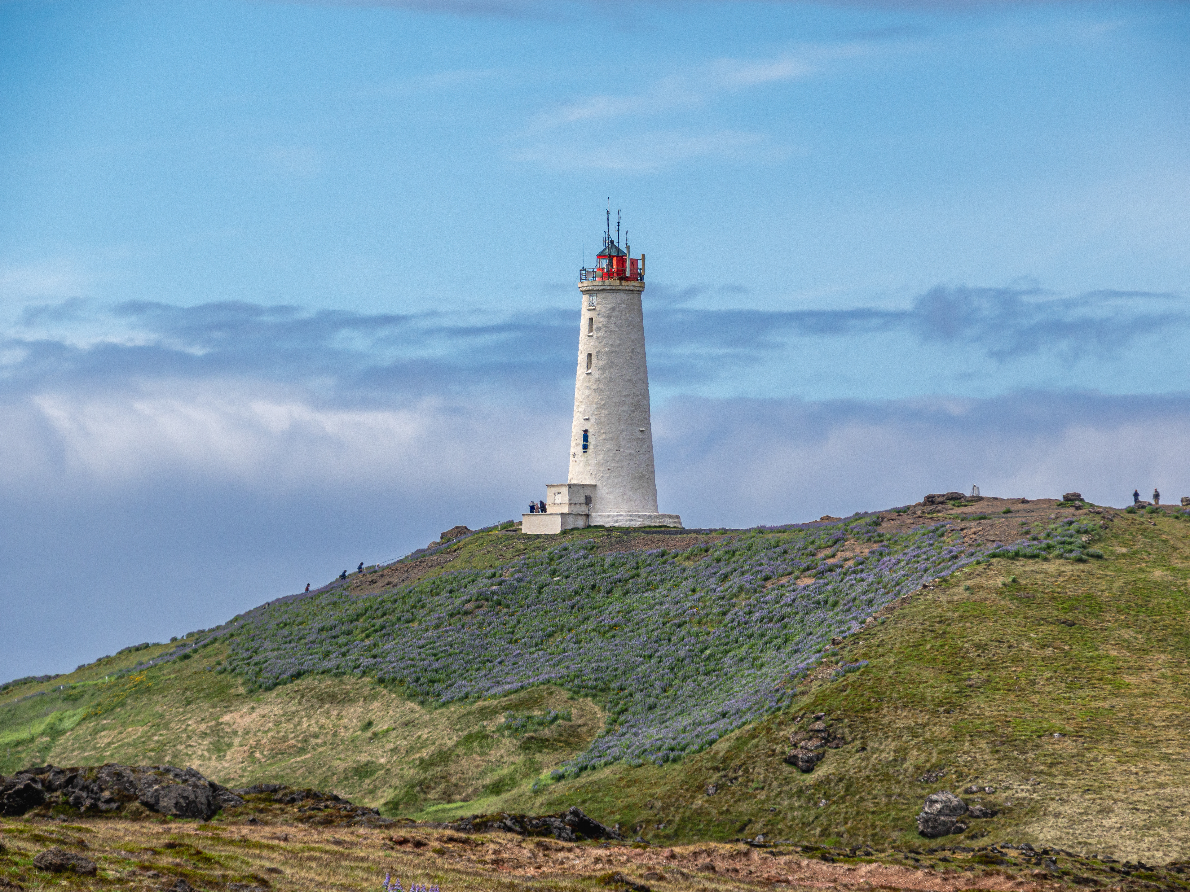 Reykjanesviti