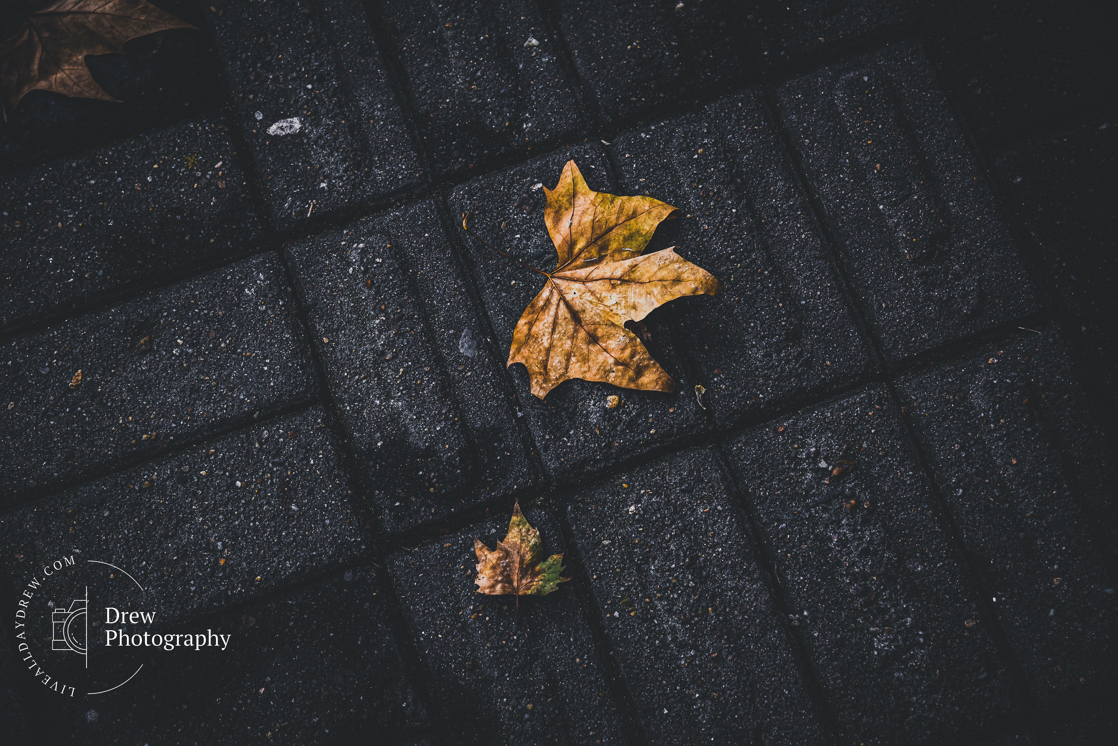 Captured and Edited - Lightroom