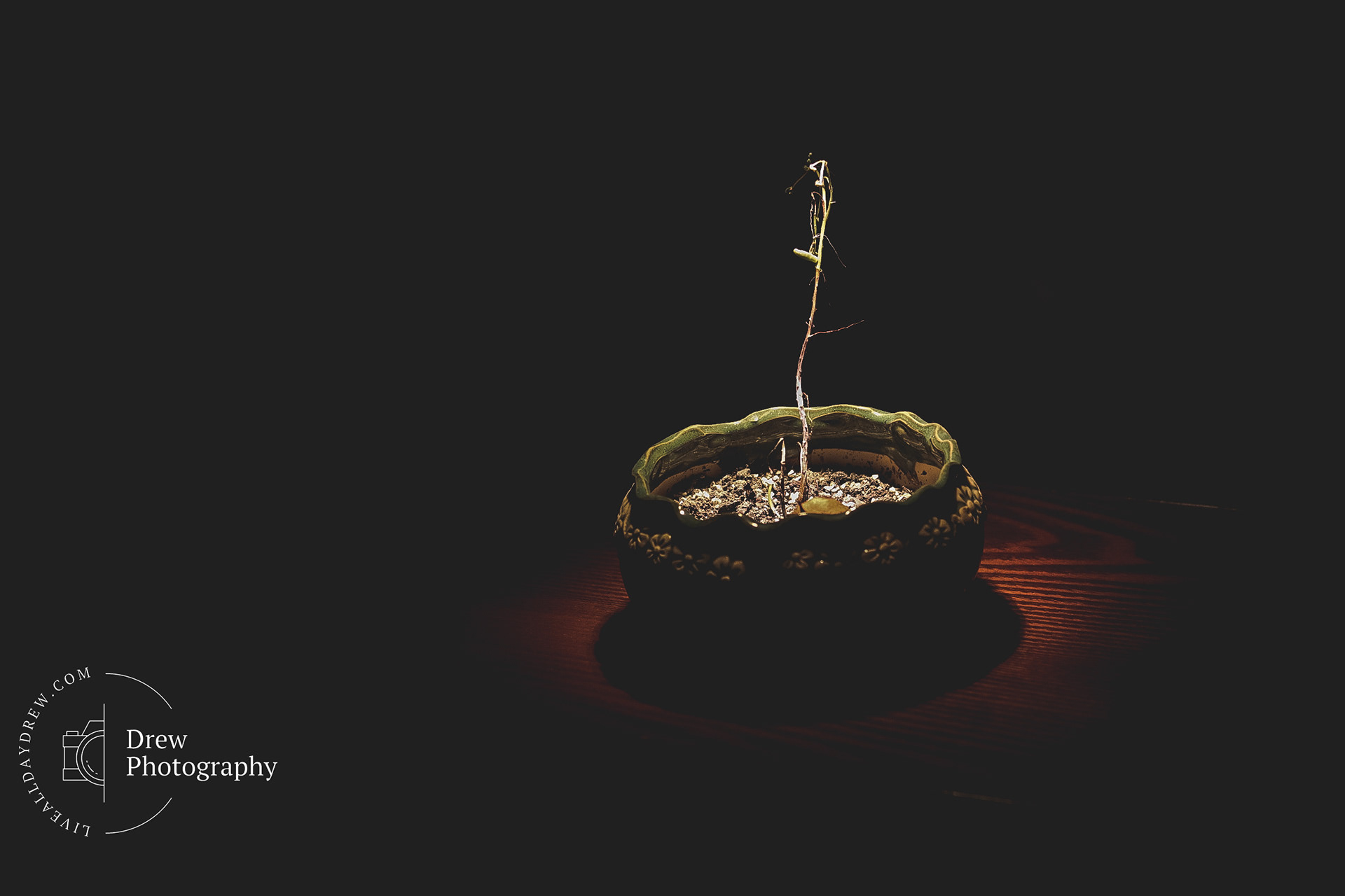 Captured and Edited - Lightroom