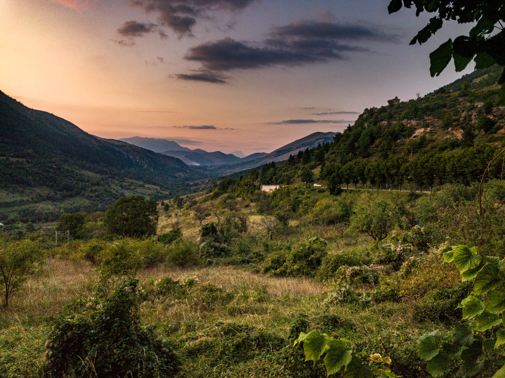 {"cameraType":"Wide","macroEnabled":false,"qualityMode":3,"deviceTilt":-0.044779388555673538,"customExposureMode":1,"extendedExposure":false,"whiteBalanceProgram":0,"cameraPosition":1,"shootingMode":0,"focusMode":1}