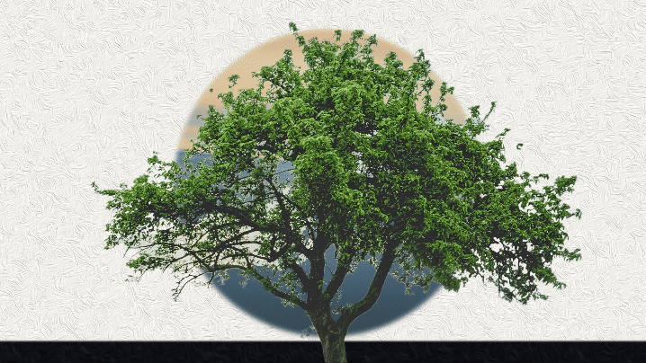 MAXlive Key Art 2024-2025