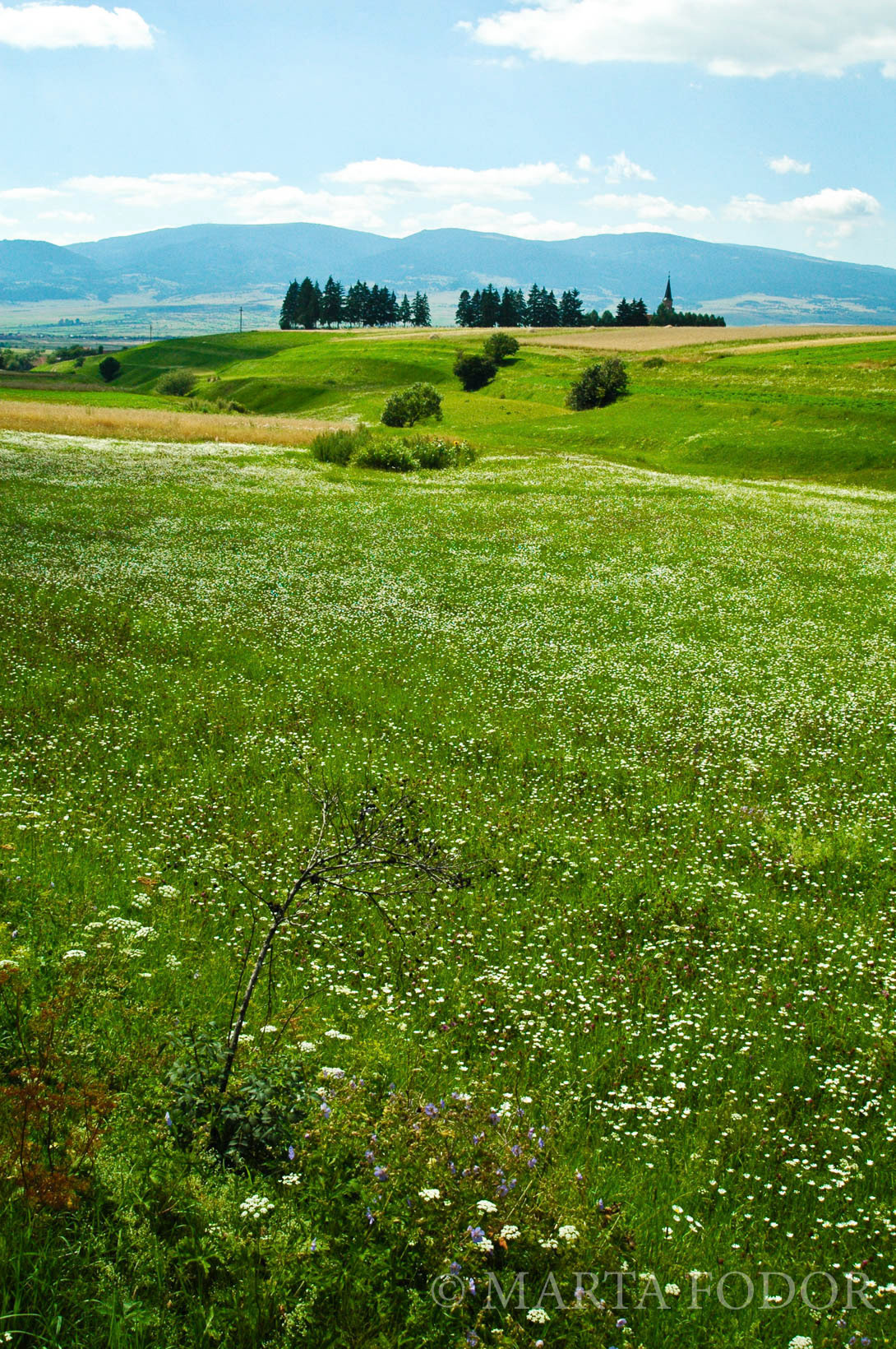 Székelyföld, Romania