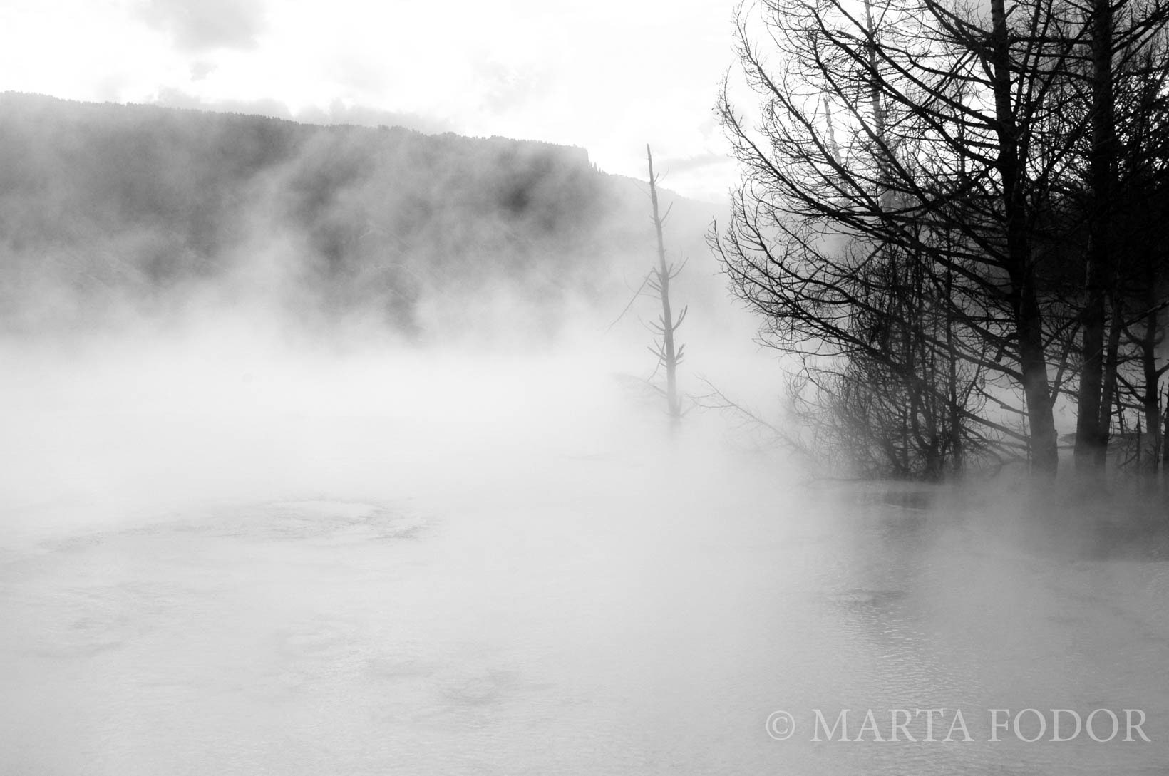Yellowstone National Park, Colorado