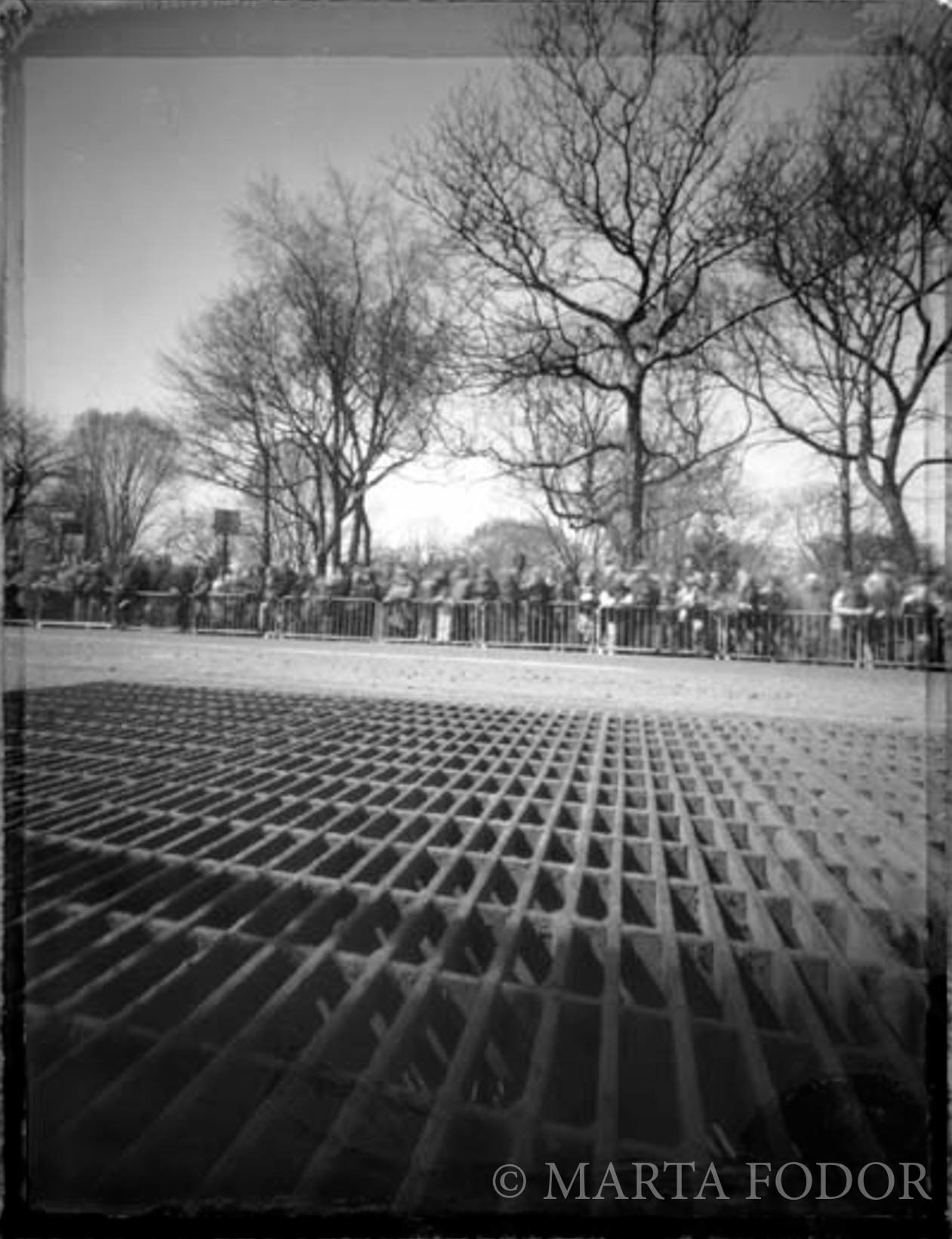 St. Patrick’s Day parade, New York, NY.