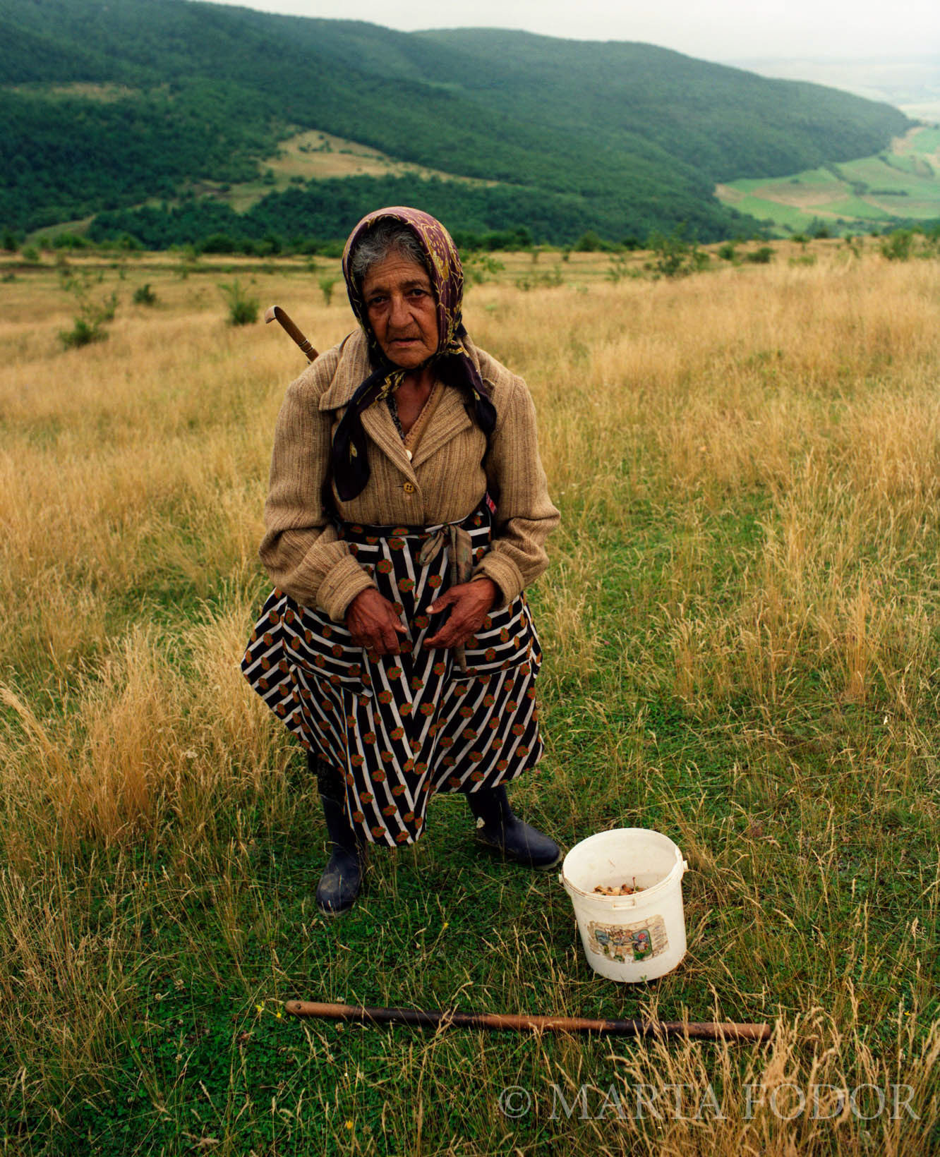 Gathering mushrooms, Méra, Romania