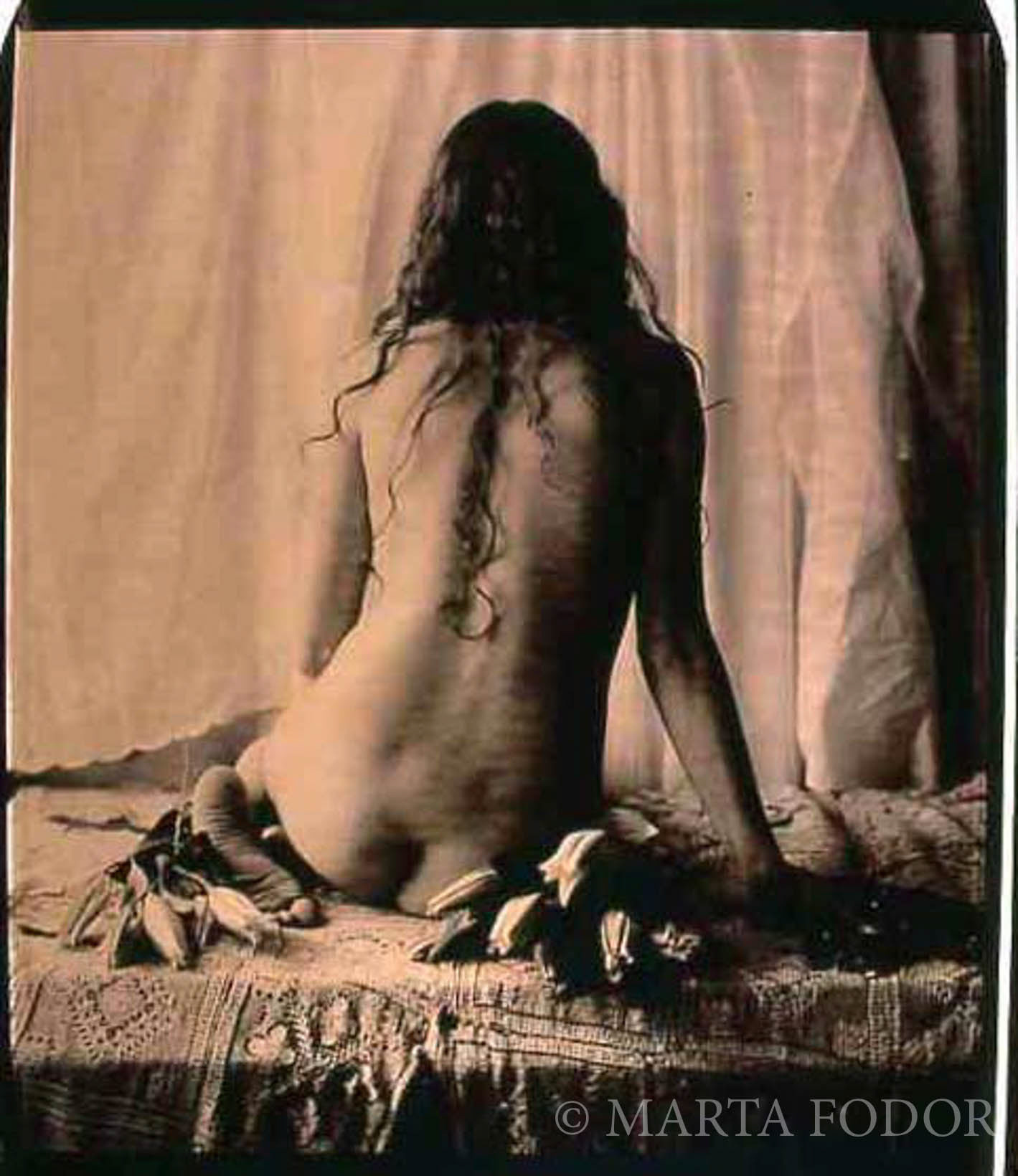 Sabina and the Almonds, Polaroid 20" x 24" 'Chocolate" film