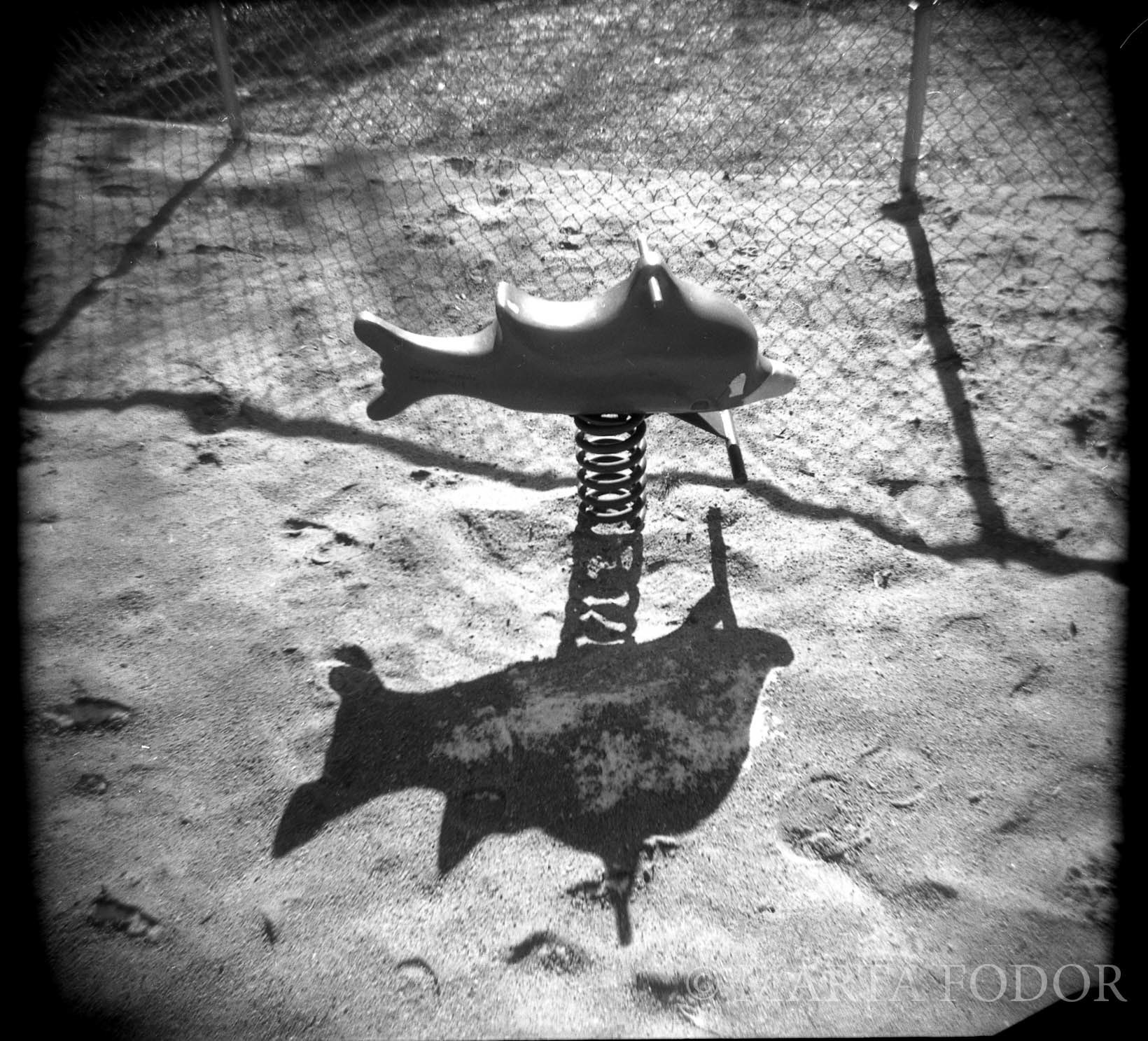 Dolphin on the playground, Attleboro, MA