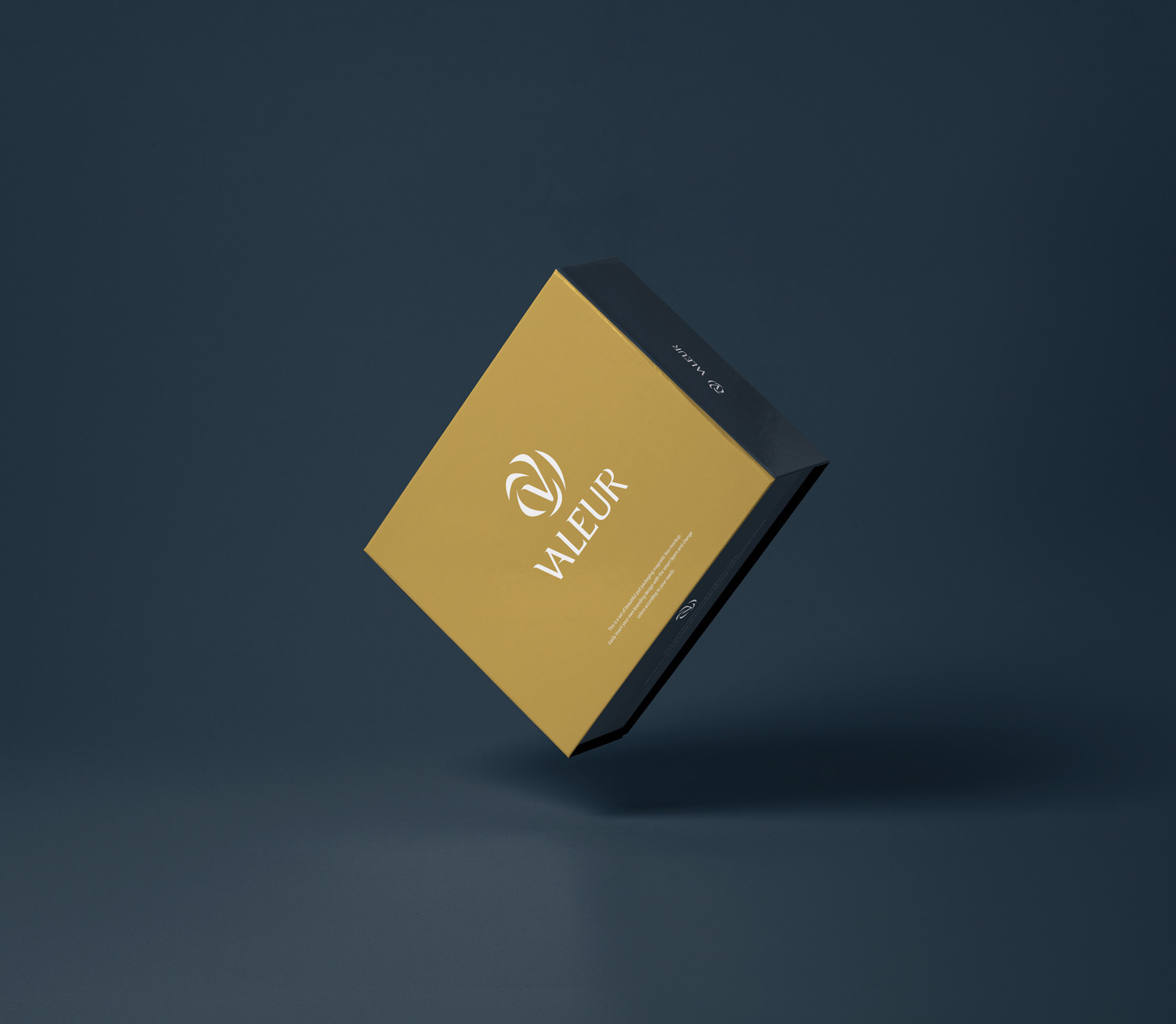 Valeur - Arianna Criscione - Logo design