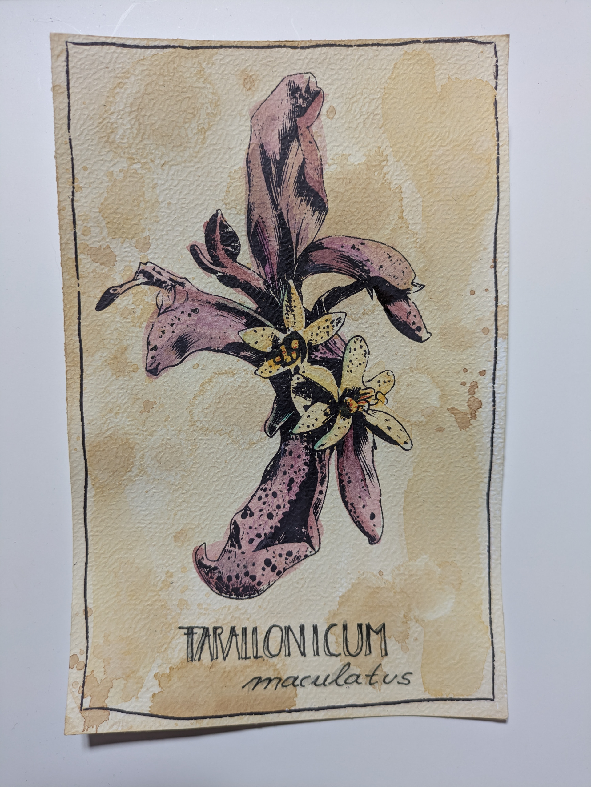 Real: Silkscreen, watercolor and ink paper