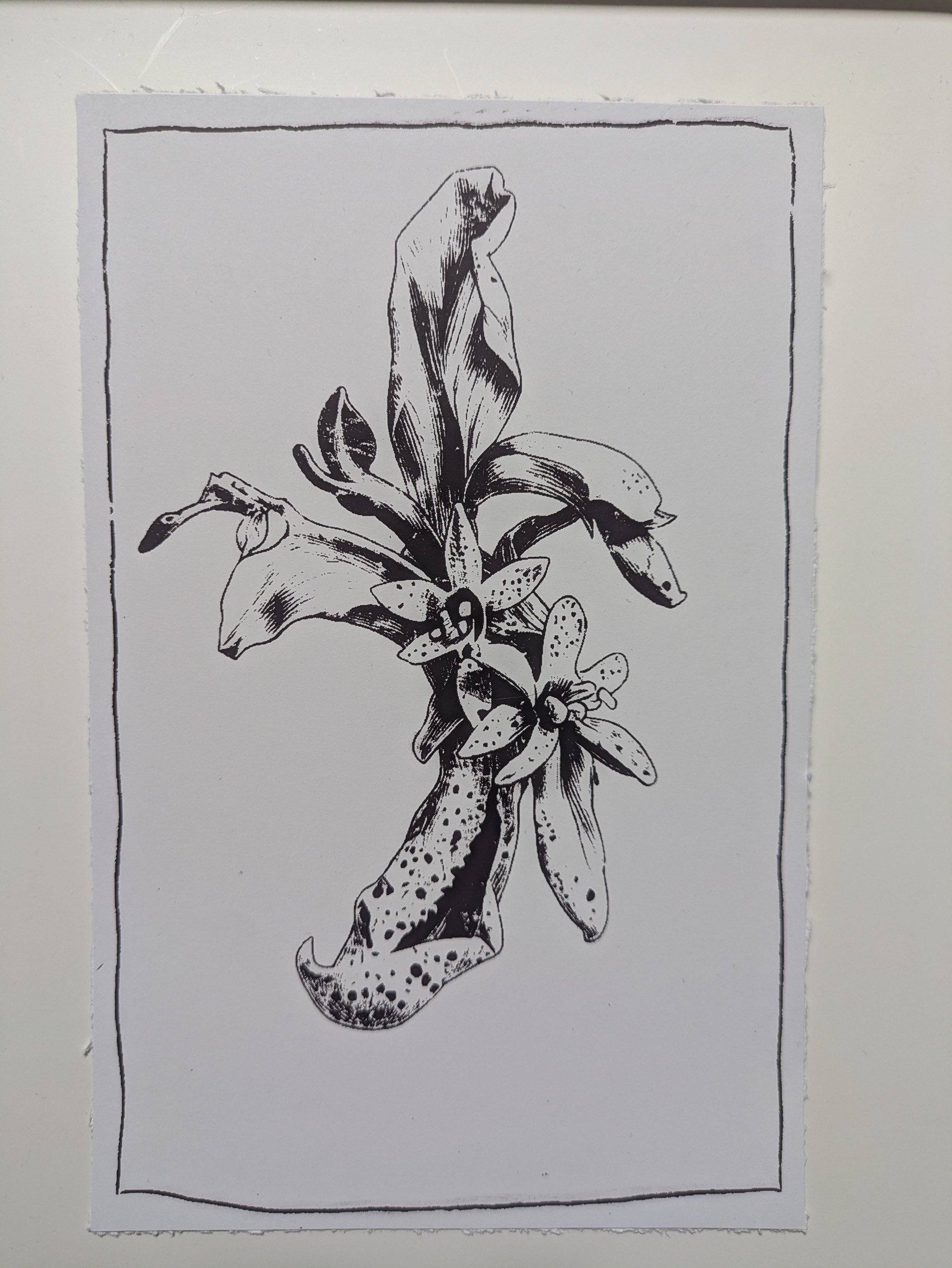 Real: Silkscreened paper