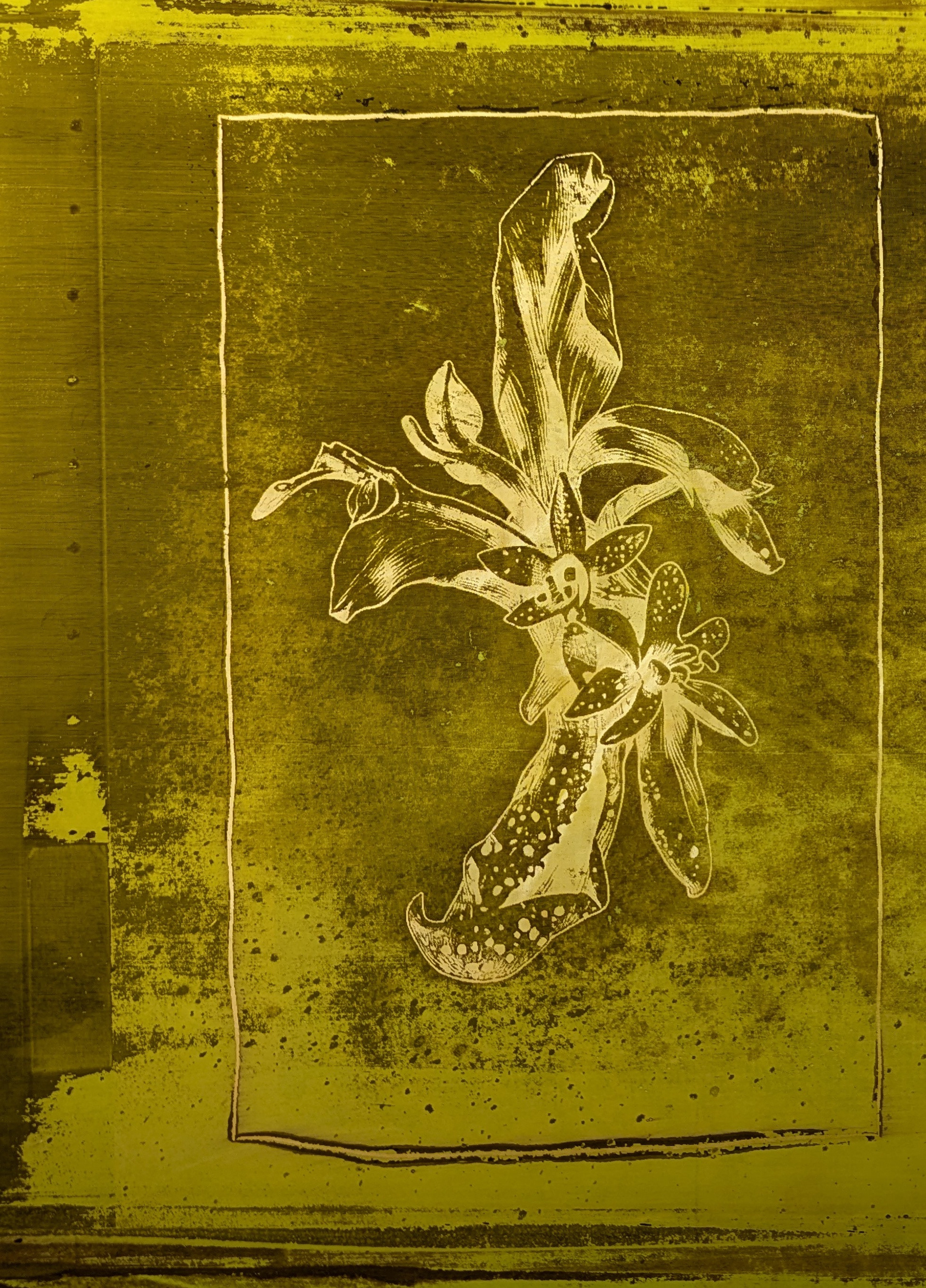 Silkscreen