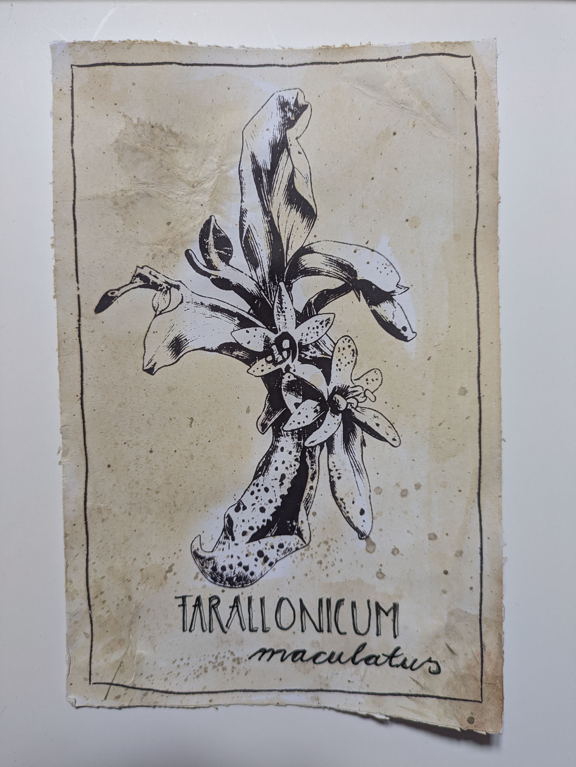 Real: Silkscreen, watercolor and ink paper