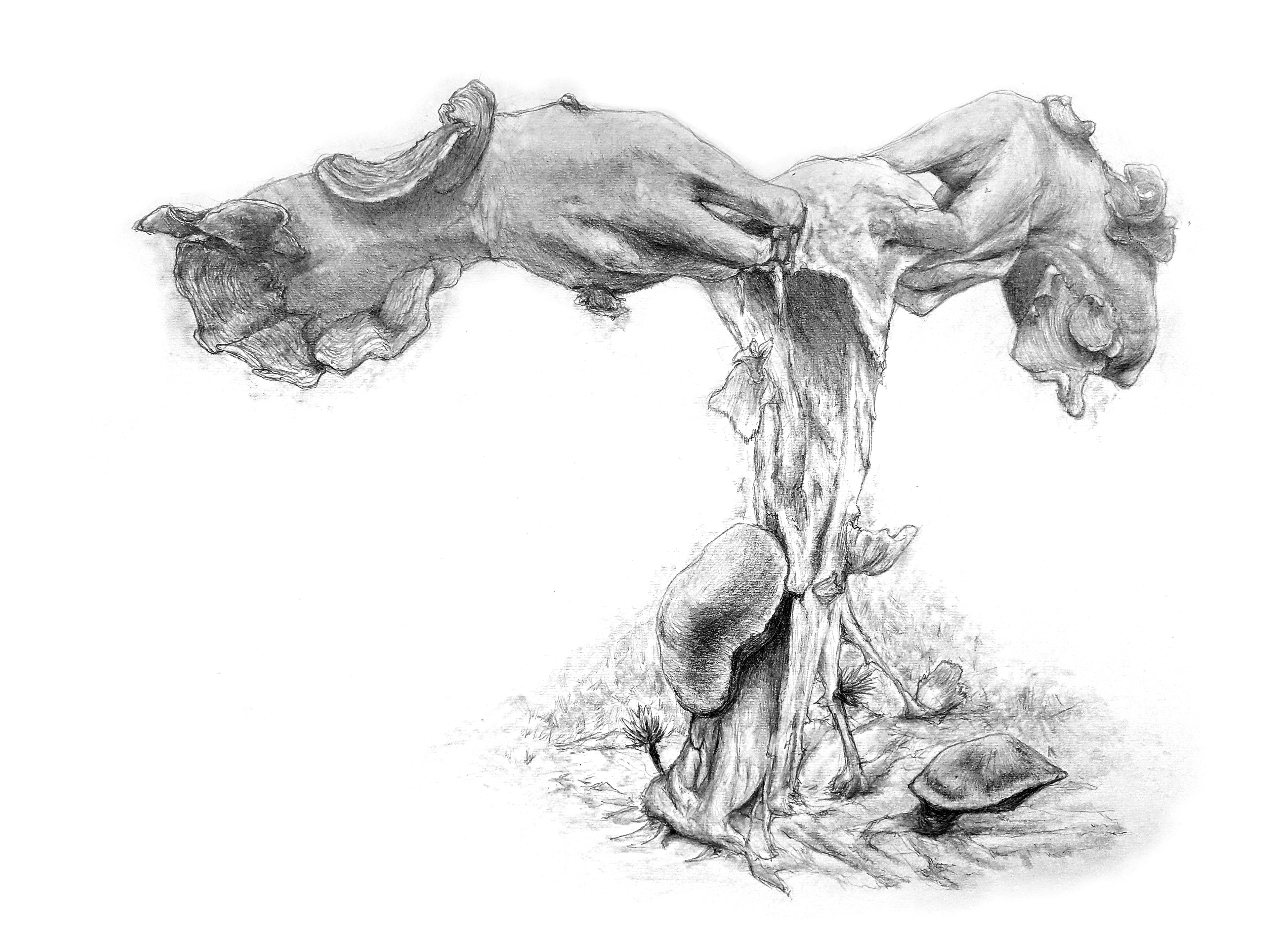 Masa primordial (2022)