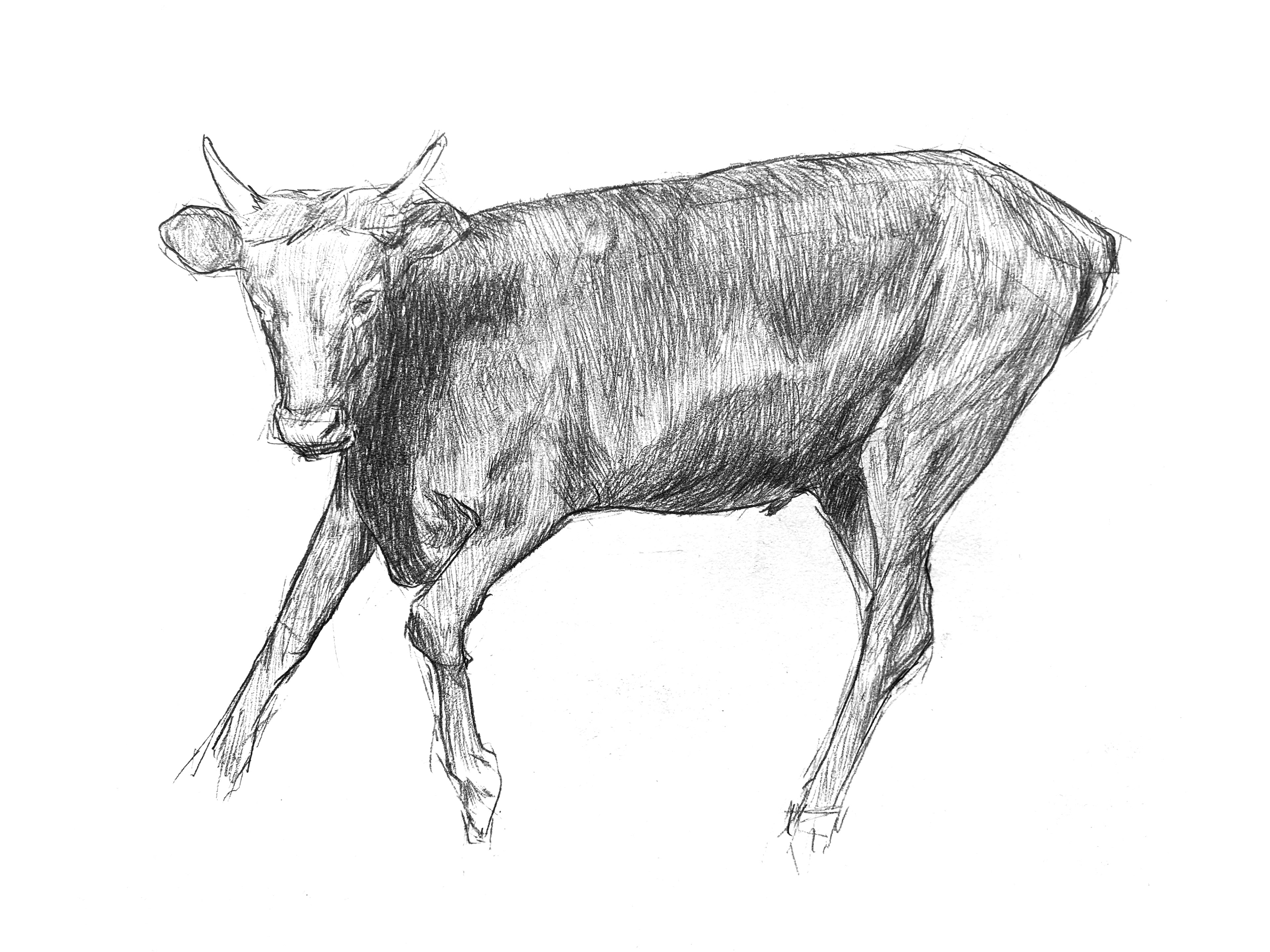 Vaca Lola (2022)
