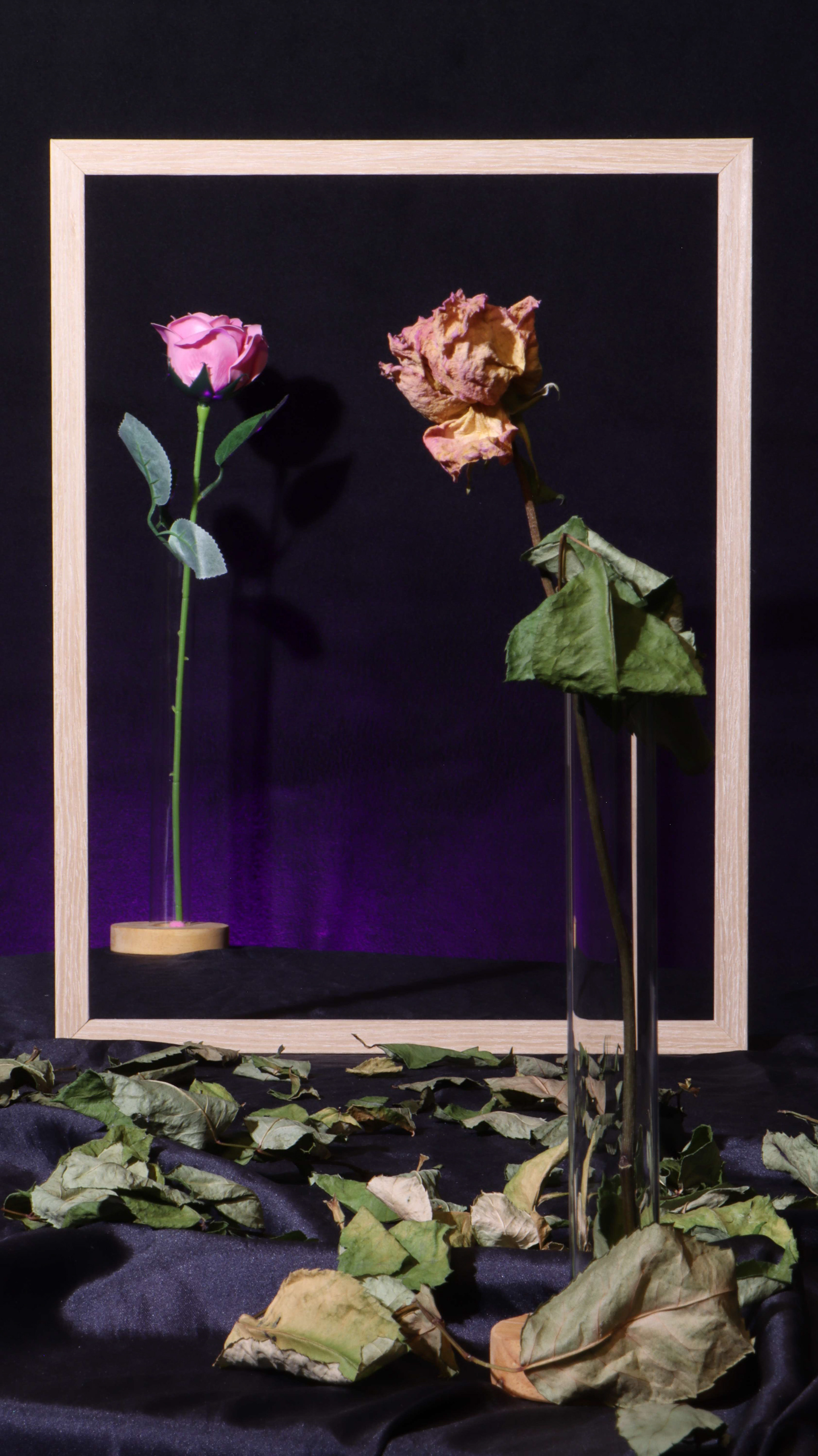 Nature morte