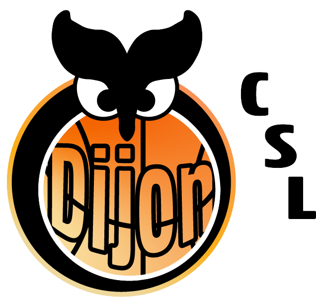 Logo pour une équipe de Basketball sur Dijon