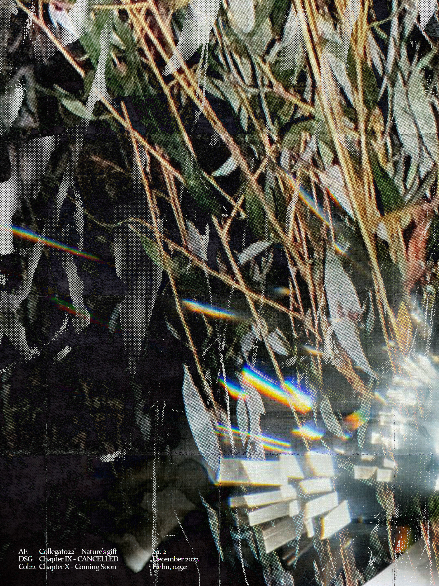 'Col222 Jungle'