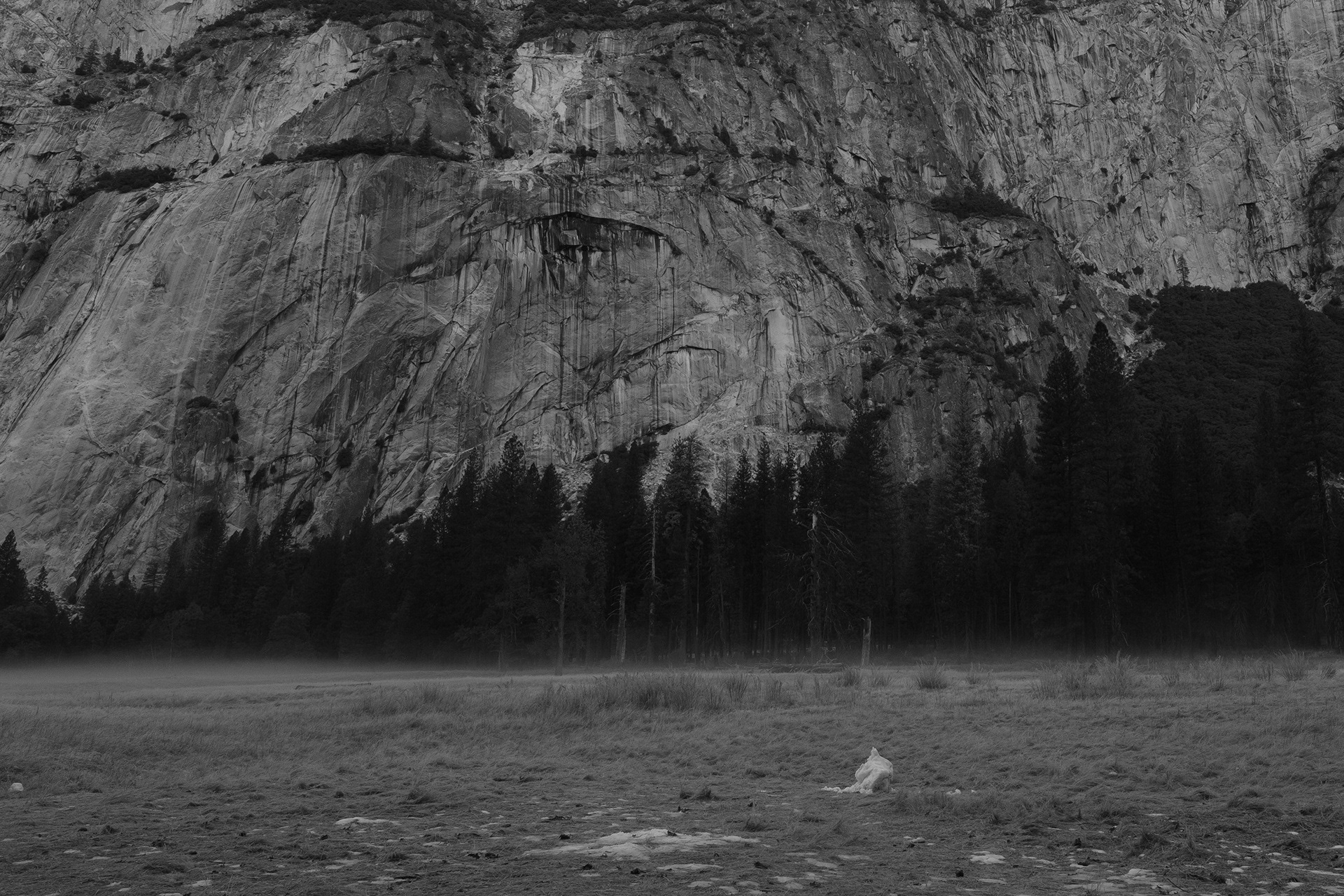 Yosemite