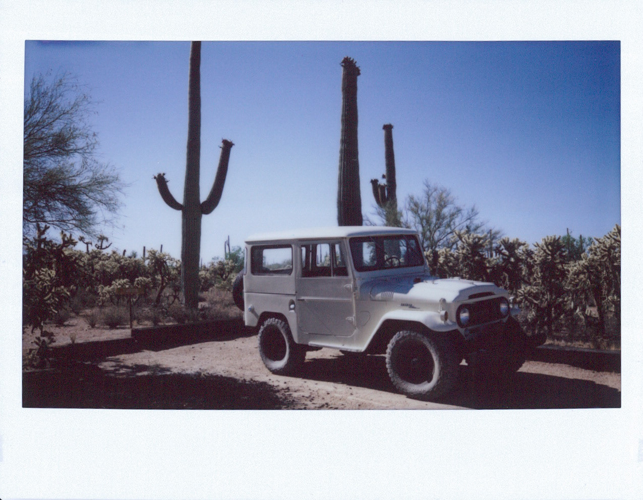 Saguaro National Park