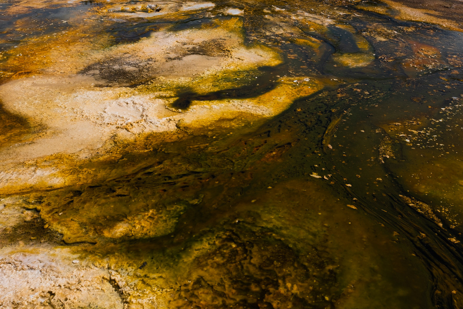 Yellowstone
