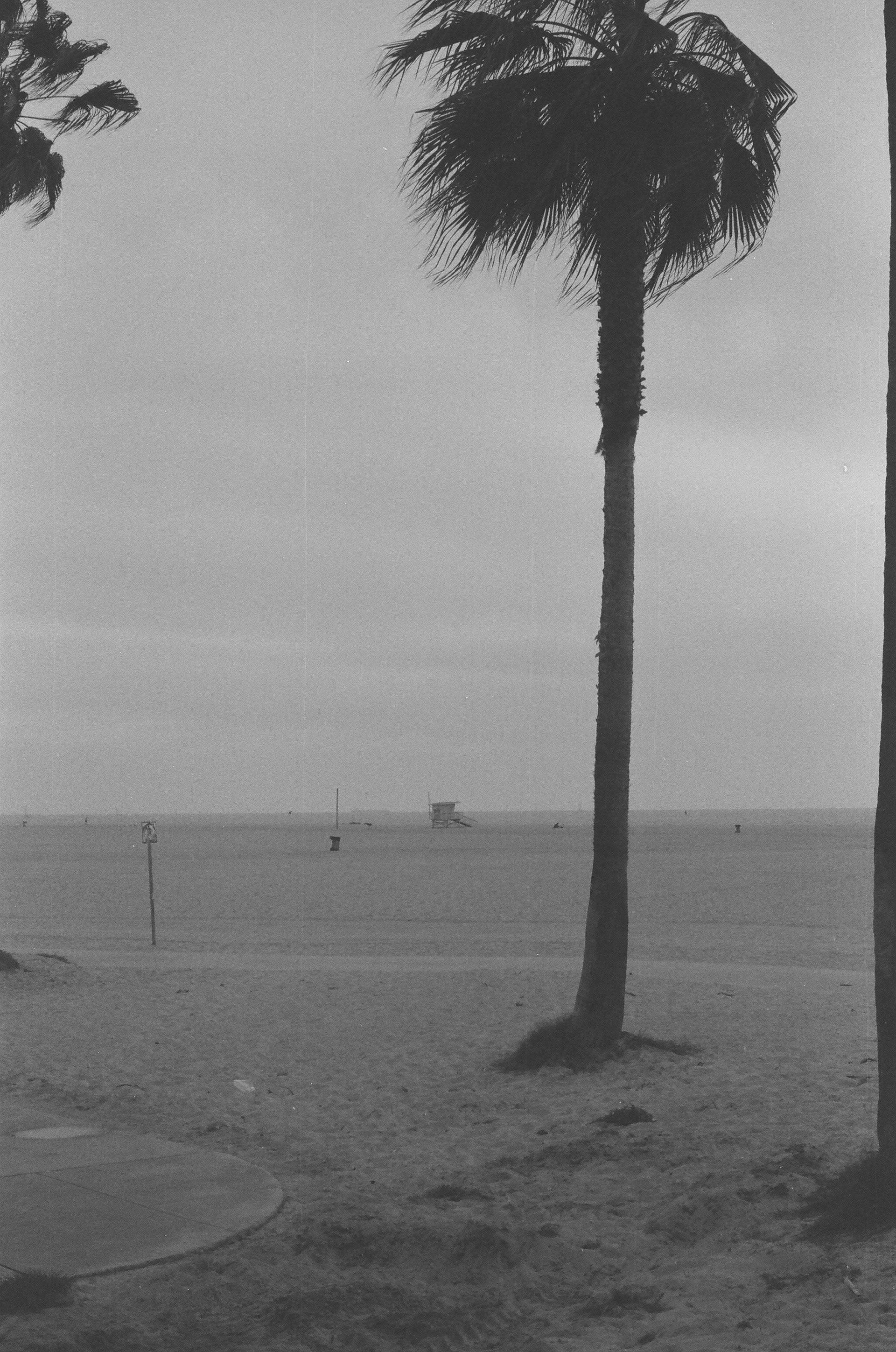 Venice Beach