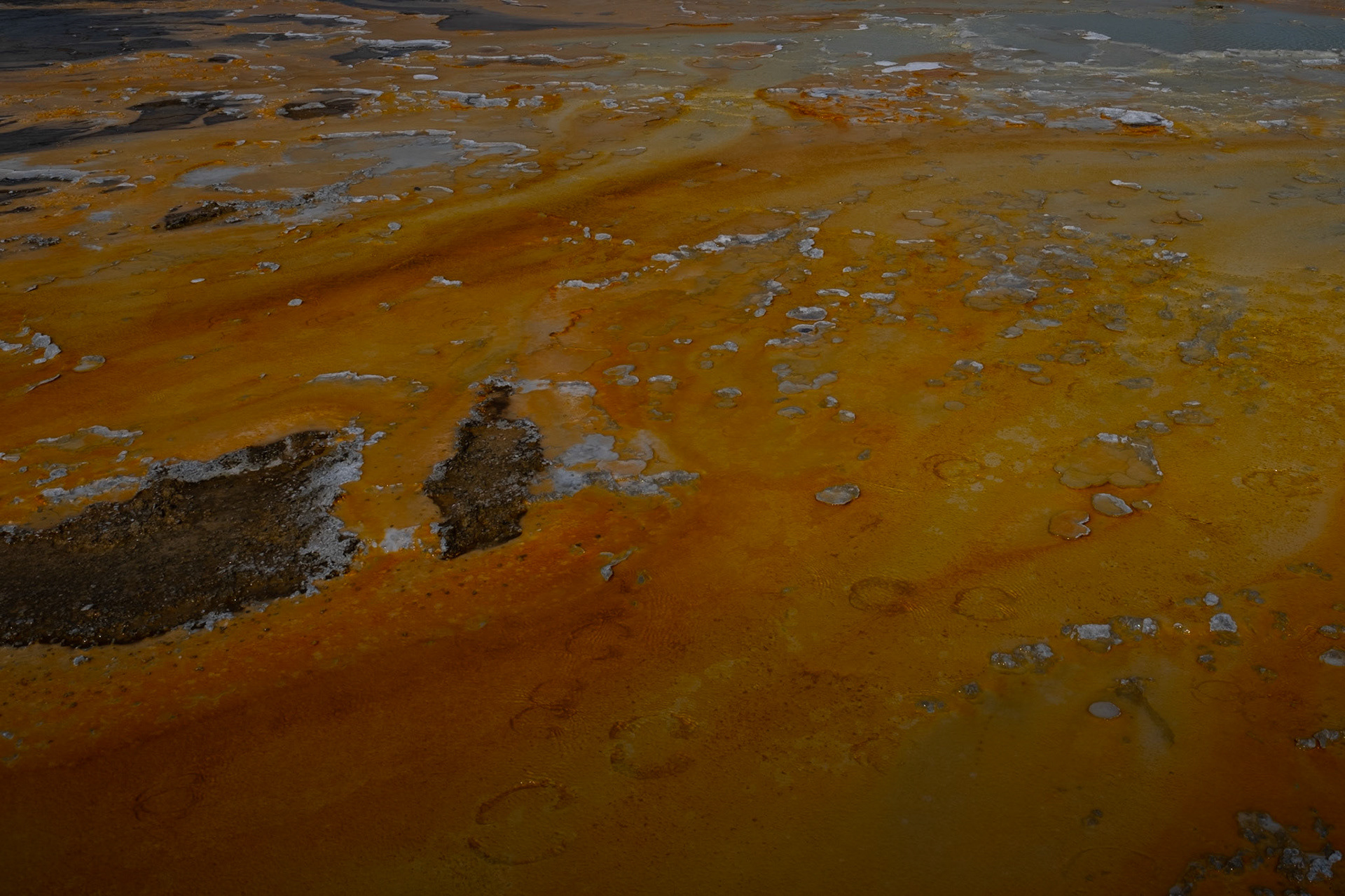 Yellowstone