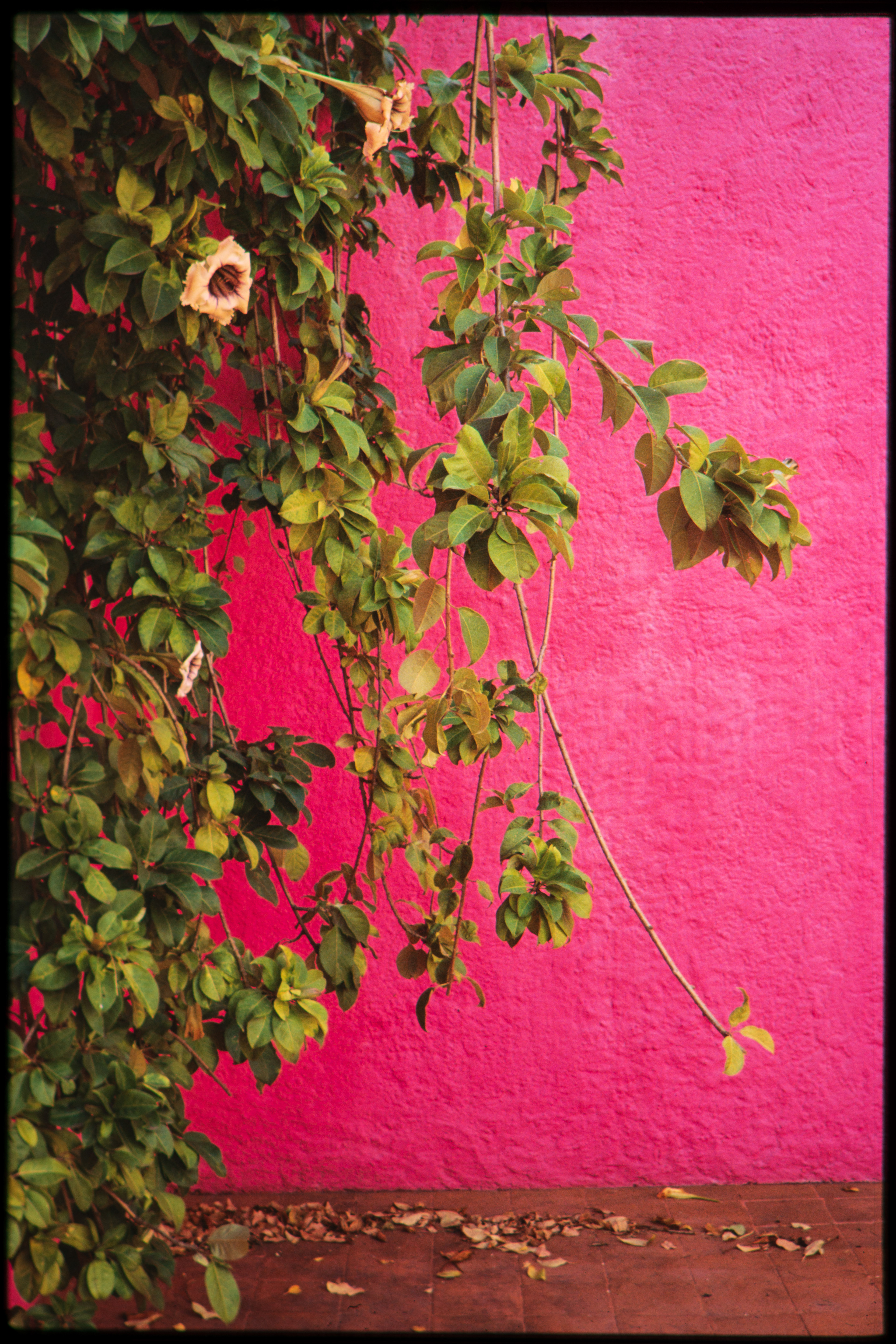 Mexico City